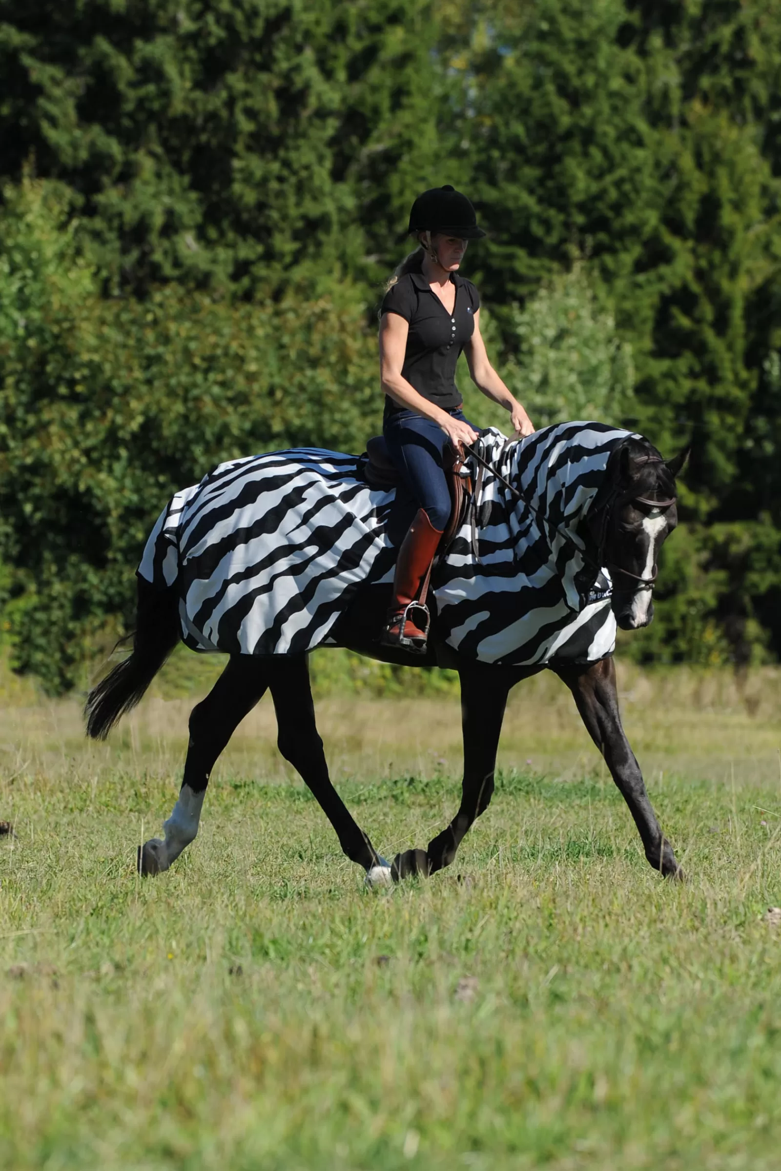 bucas Buzz-Off Riding Zebra Derka Do Latania I Jazdy Konnej Black/White Discount