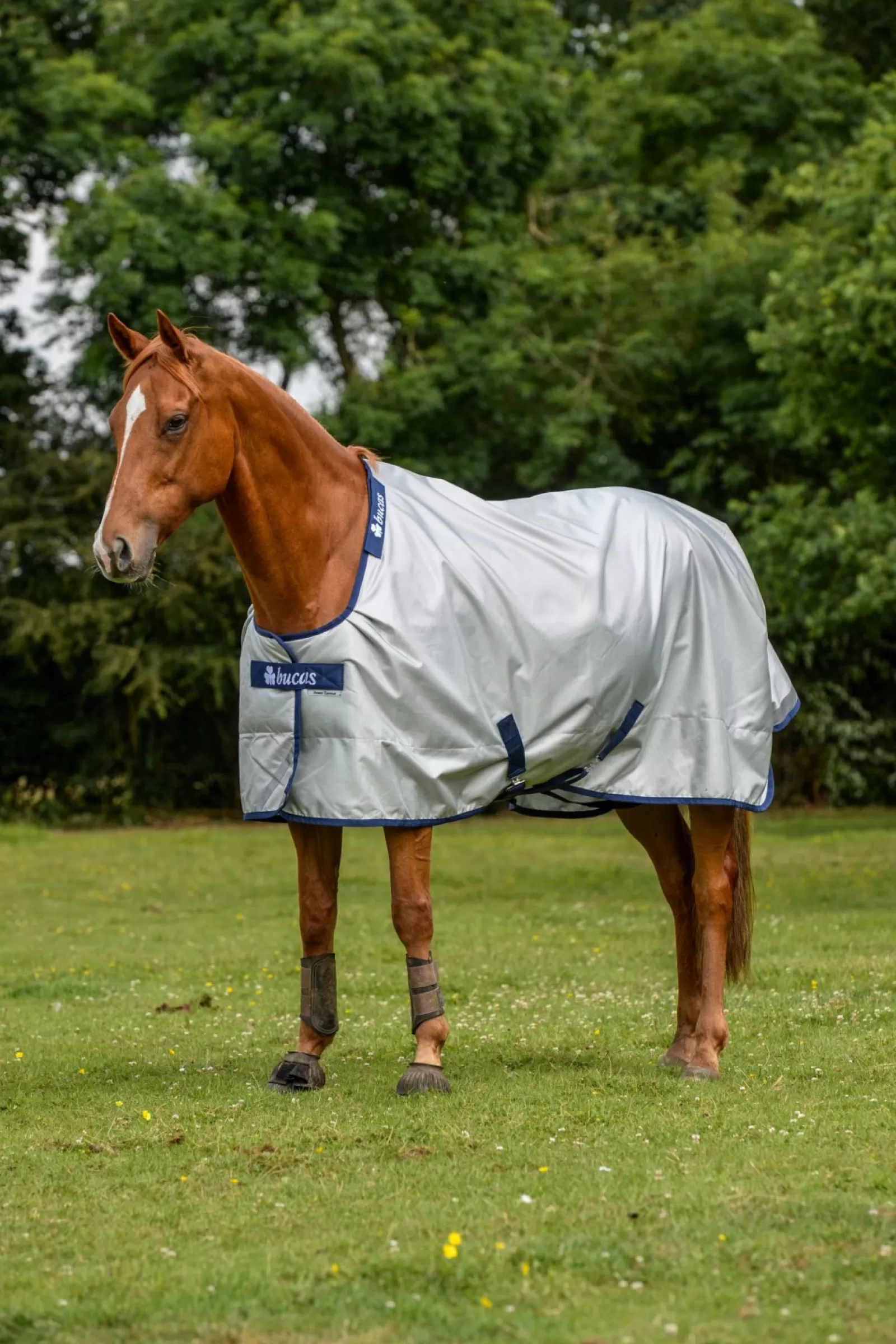 bucas Power Turnout Derka Z Funkcja Chlodzenia, 0G