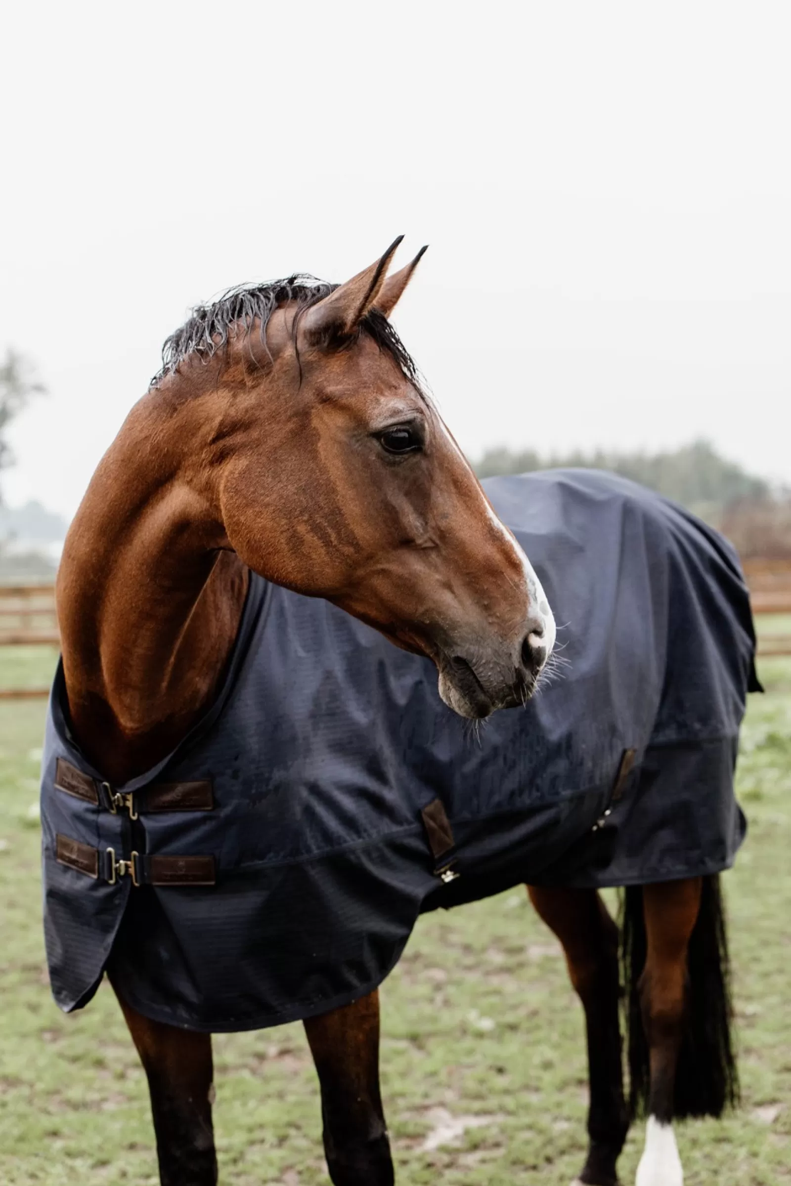 kentucky Derka Horsewear Turnout Na Kazda Pogode, 300 G
