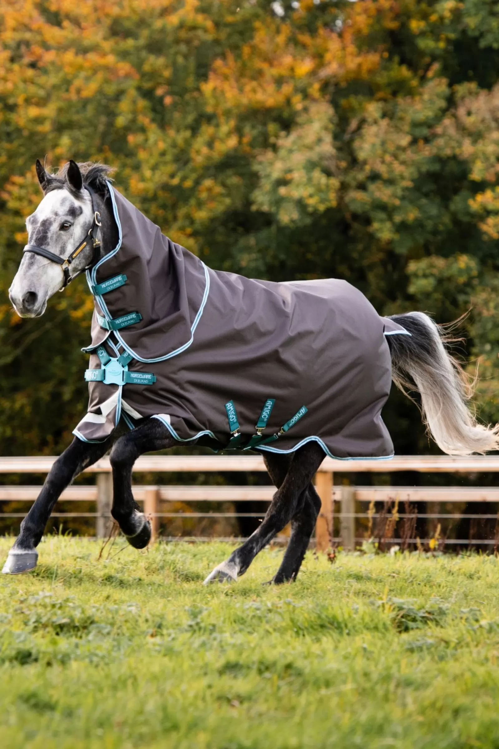 horseware Derka Padokowa Amigo Bravo 12 Plus Disc-Closure, 250G