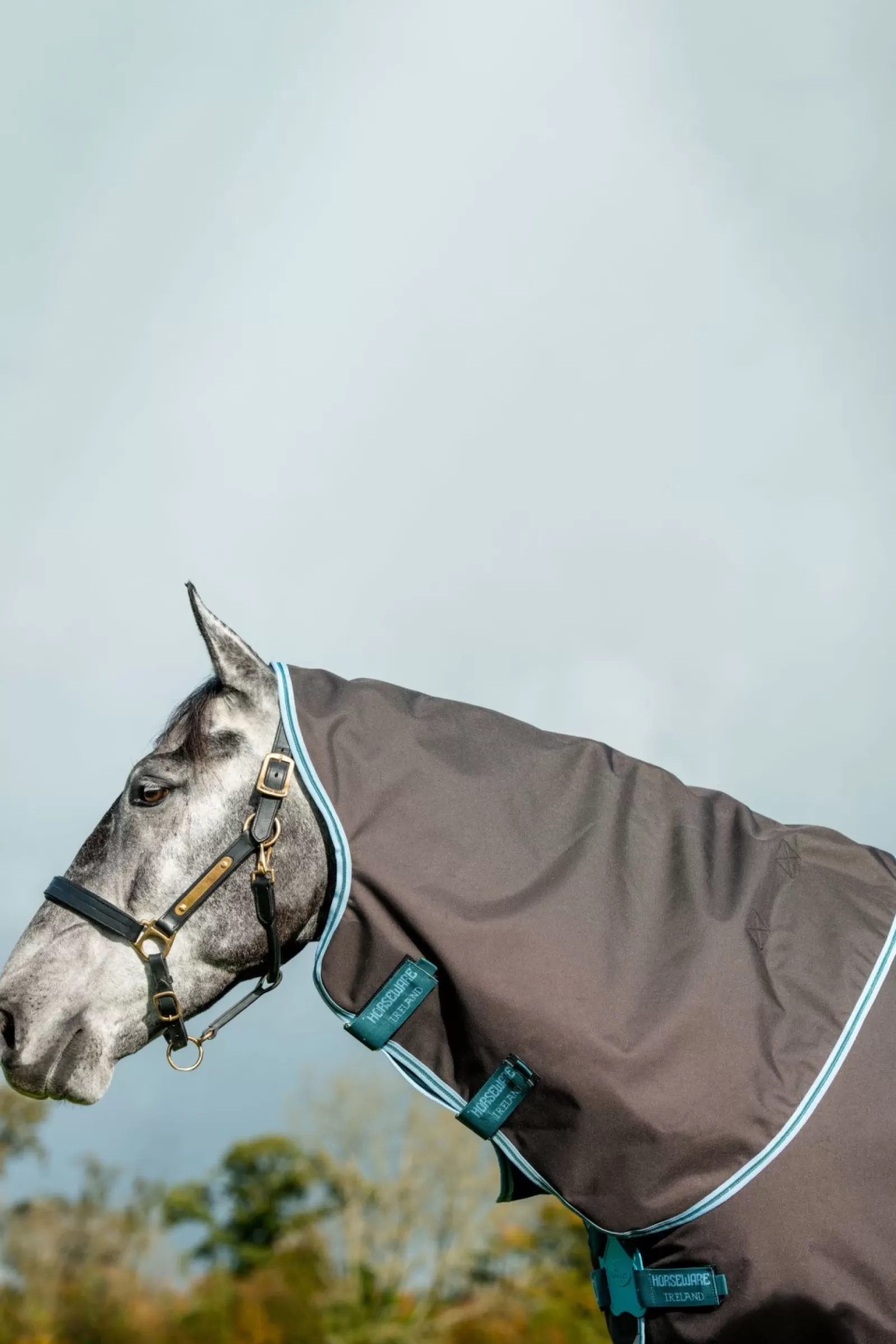 horseware Derka Padokowa Amigo Bravo 12 Plus Disc-Closure, 250G