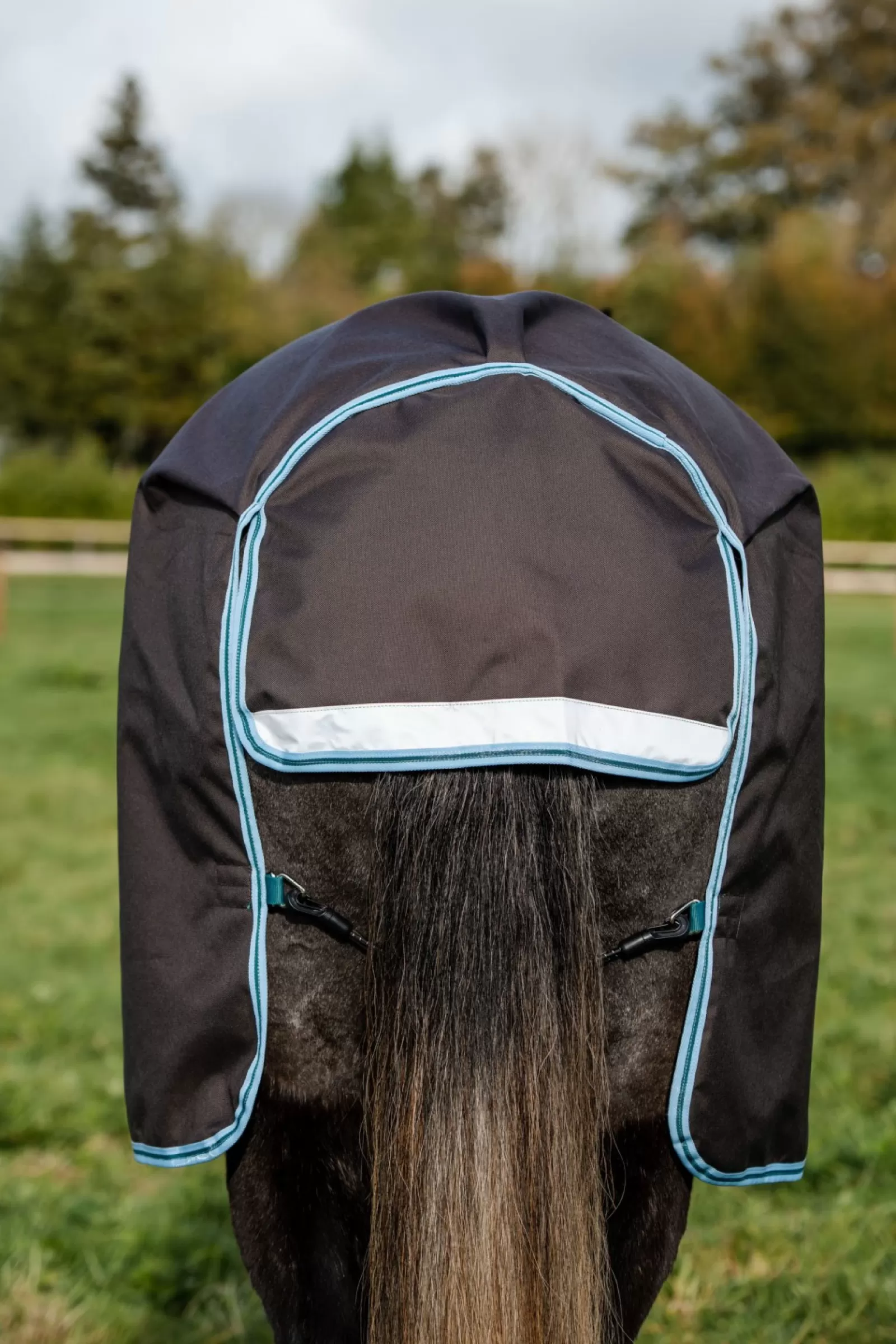 horseware Derka Padokowa Amigo Bravo 12 Plus Disc-Closure, 250G