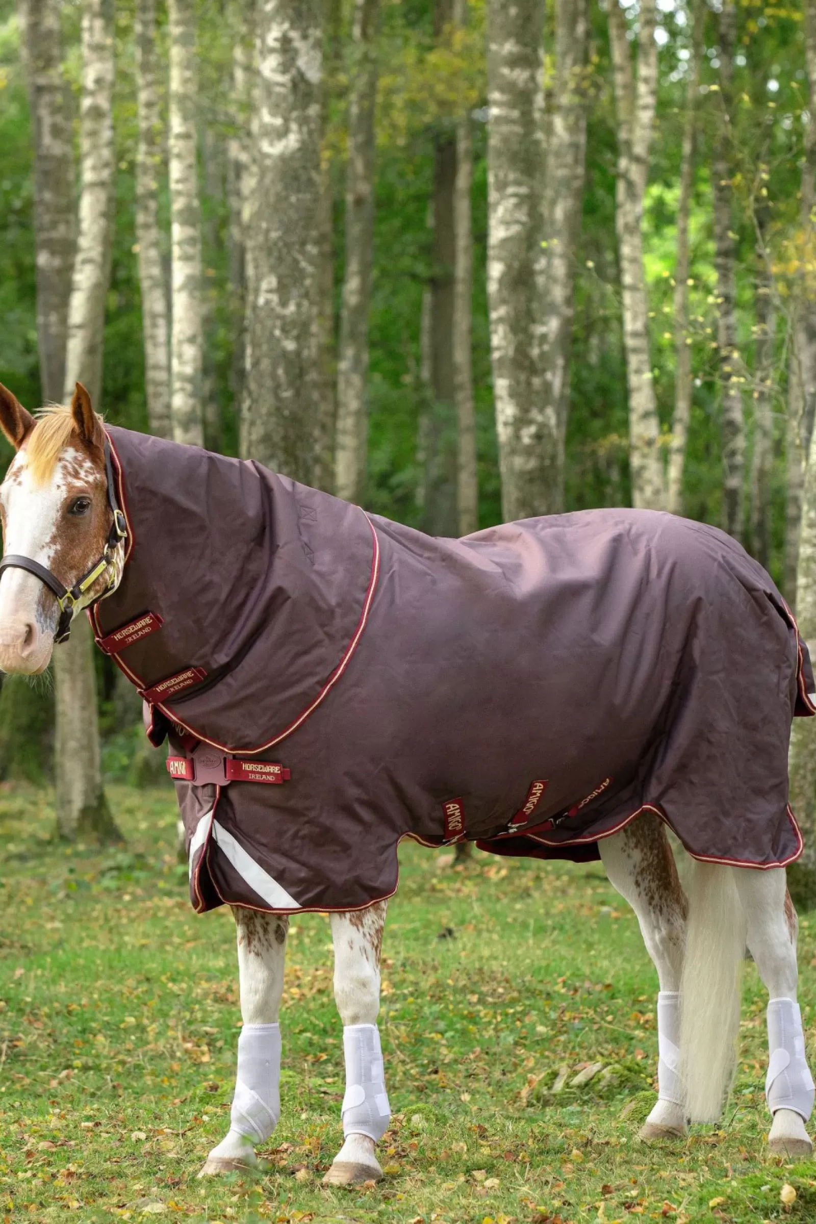 horseware Derka Padokowa Amigo Bravo 12 Plus Z Odpinanym Kapturem, 100G