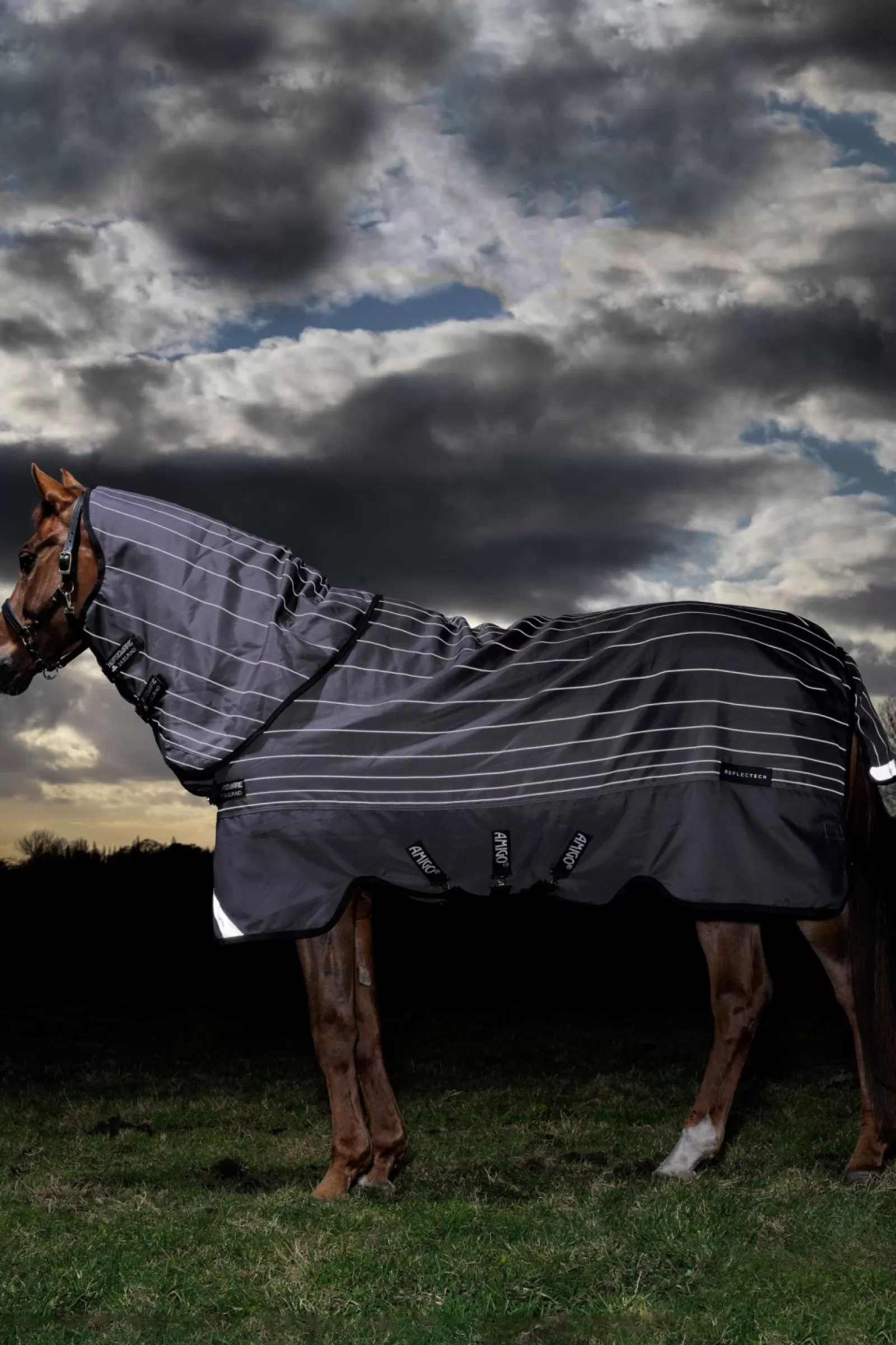 horseware Derka Padokowa Amigo Bravo 12 Reflectech Z Odpinanym Kapturem, 100G