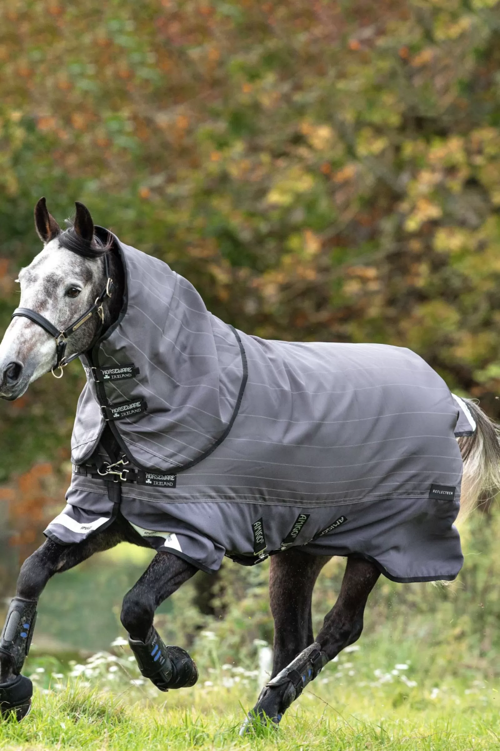 horseware Derka Padokowa Amigo Bravo 12 Reflectech Z Odpinanym Kapturem, 100G