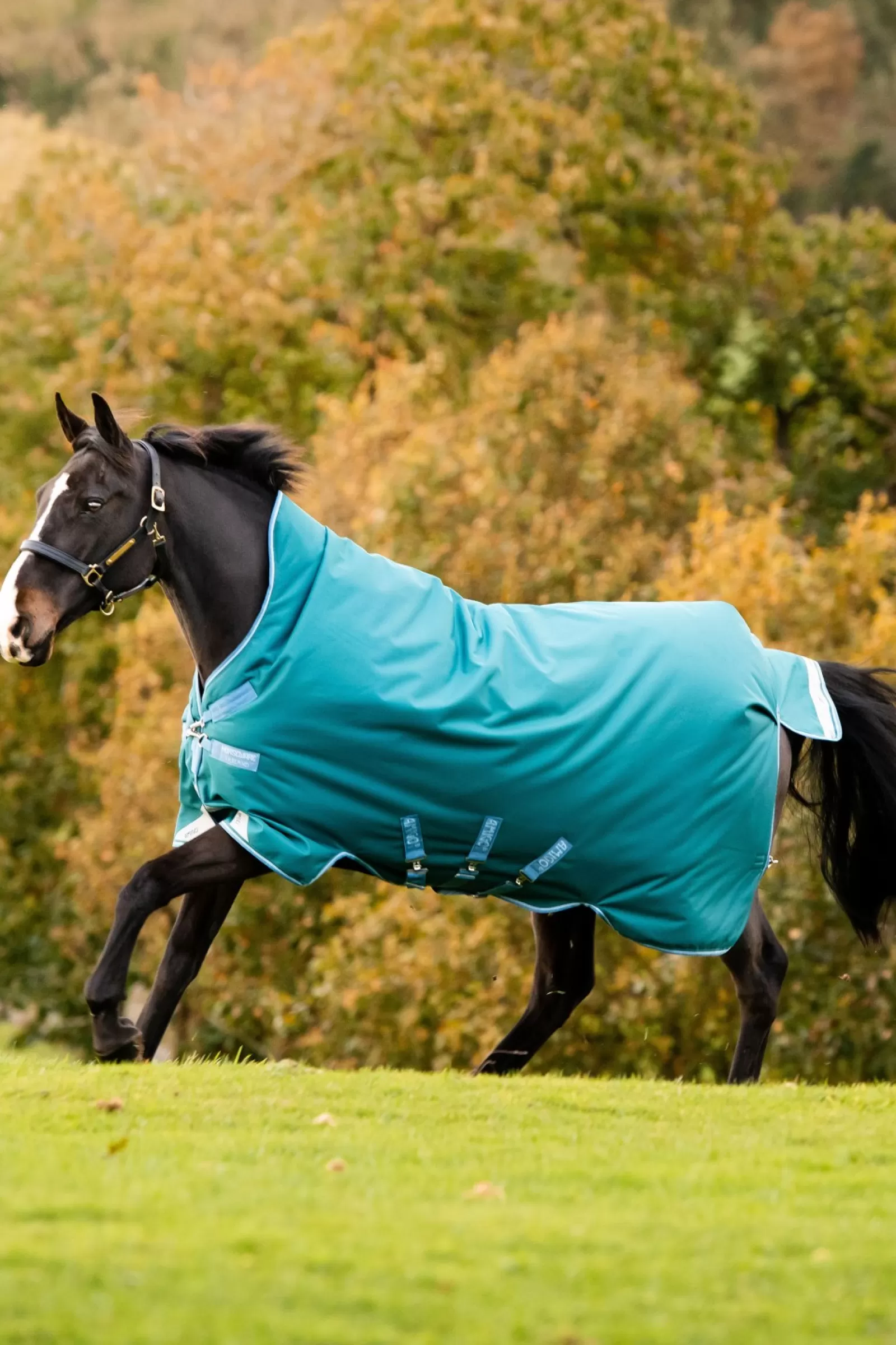 horseware Derka Padokowa Amigo Bravo 12 Z Wysokim Kolnierzem