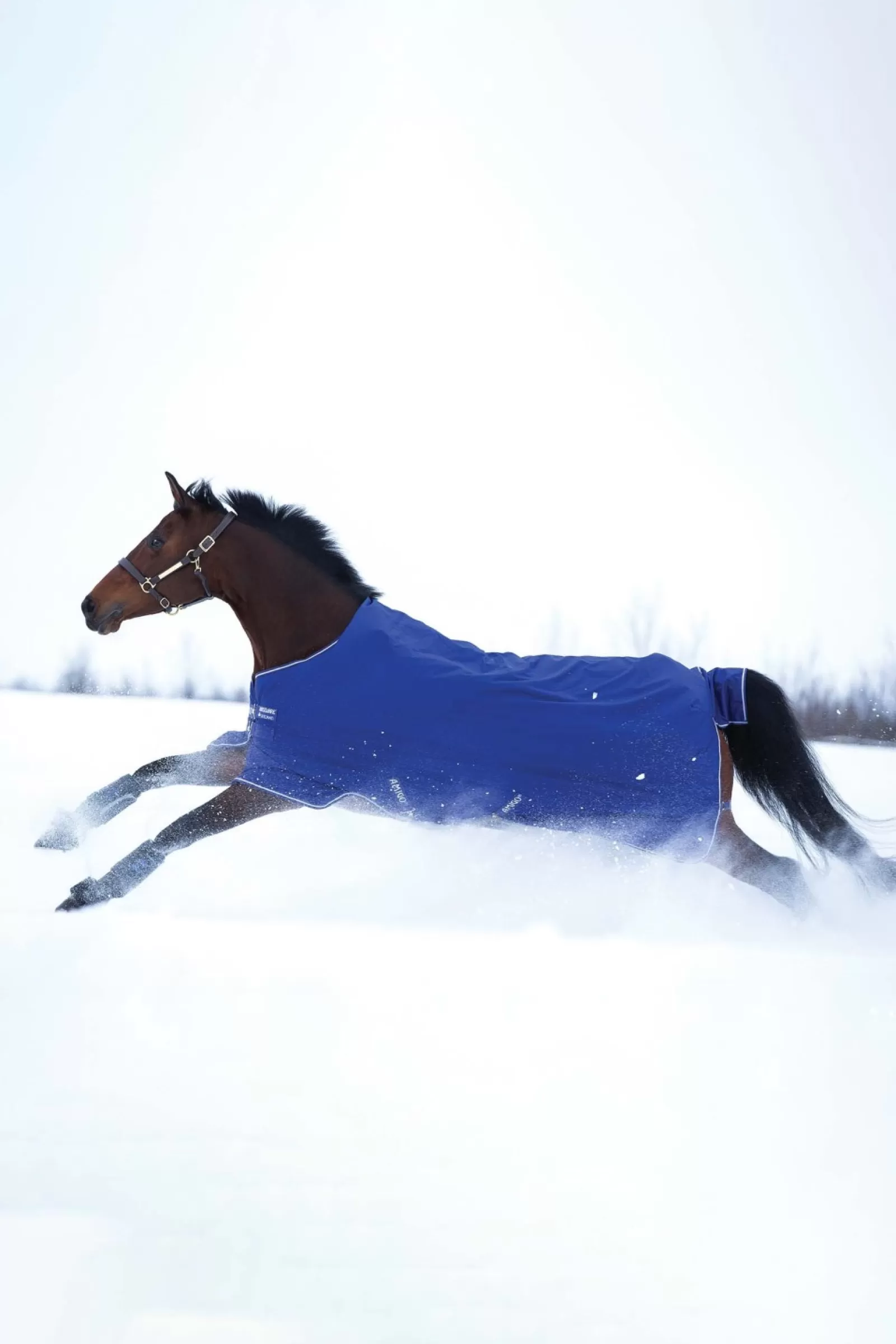 horseware Derka Padokowa Amigo Hero 900 T/O Med, 200G