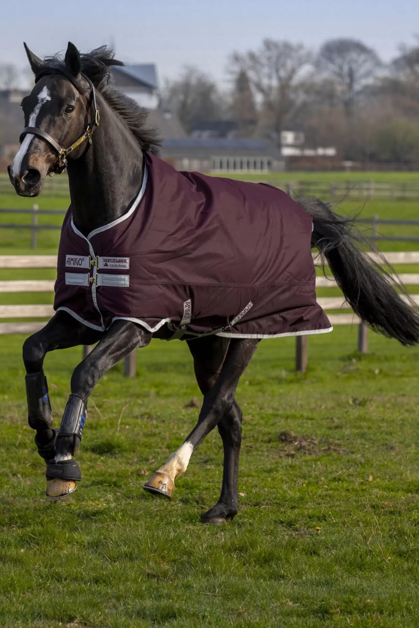 horseware Derka Padokowa Amigo Hero Ripstop 50G Z Polarowa Podszewka