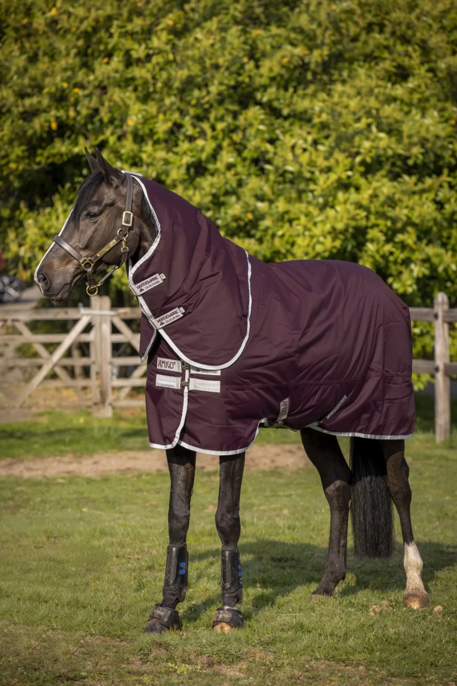horseware Derka Padokowa Amigo Hero Ripstop Plus Medium Z Odpinanym Kapturem, 200G