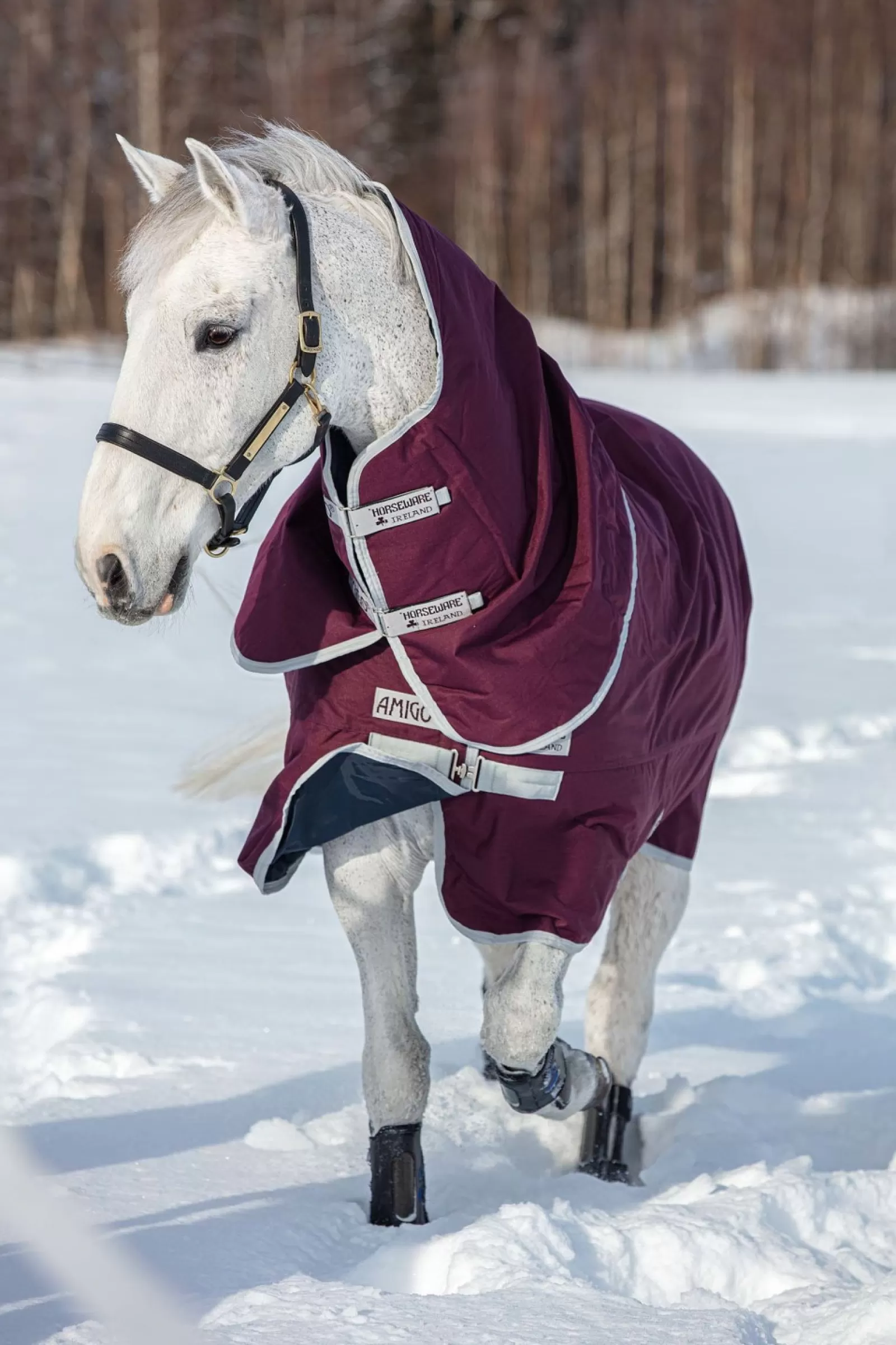 horseware Derka Padokowa Amigo Hero Ripstop Plus Medium Z Odpinanym Kapturem, 200G