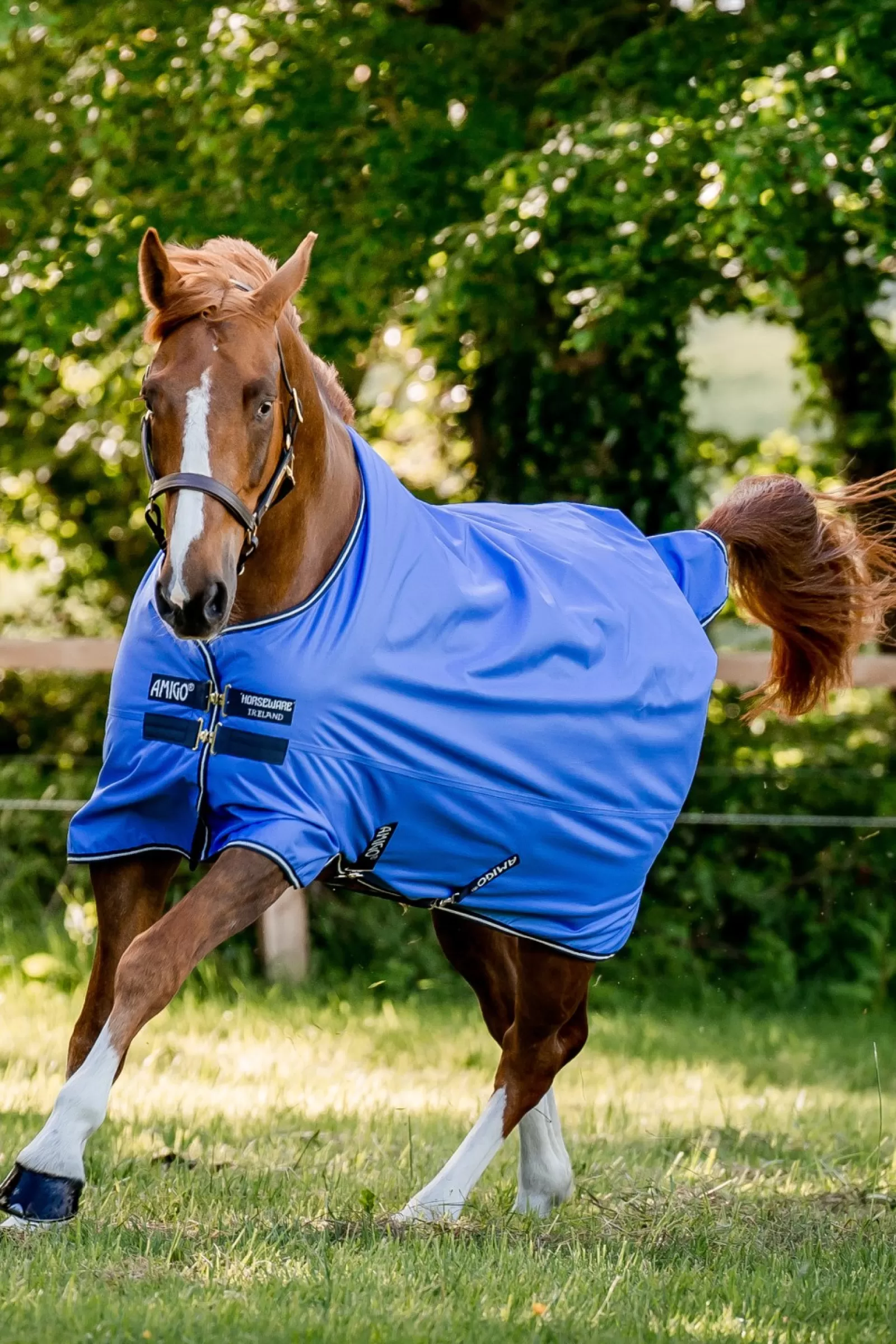 horseware Derka Padokowa Amigo Hero Ripstop Plus Z Odpinanym Kapturem, 100G