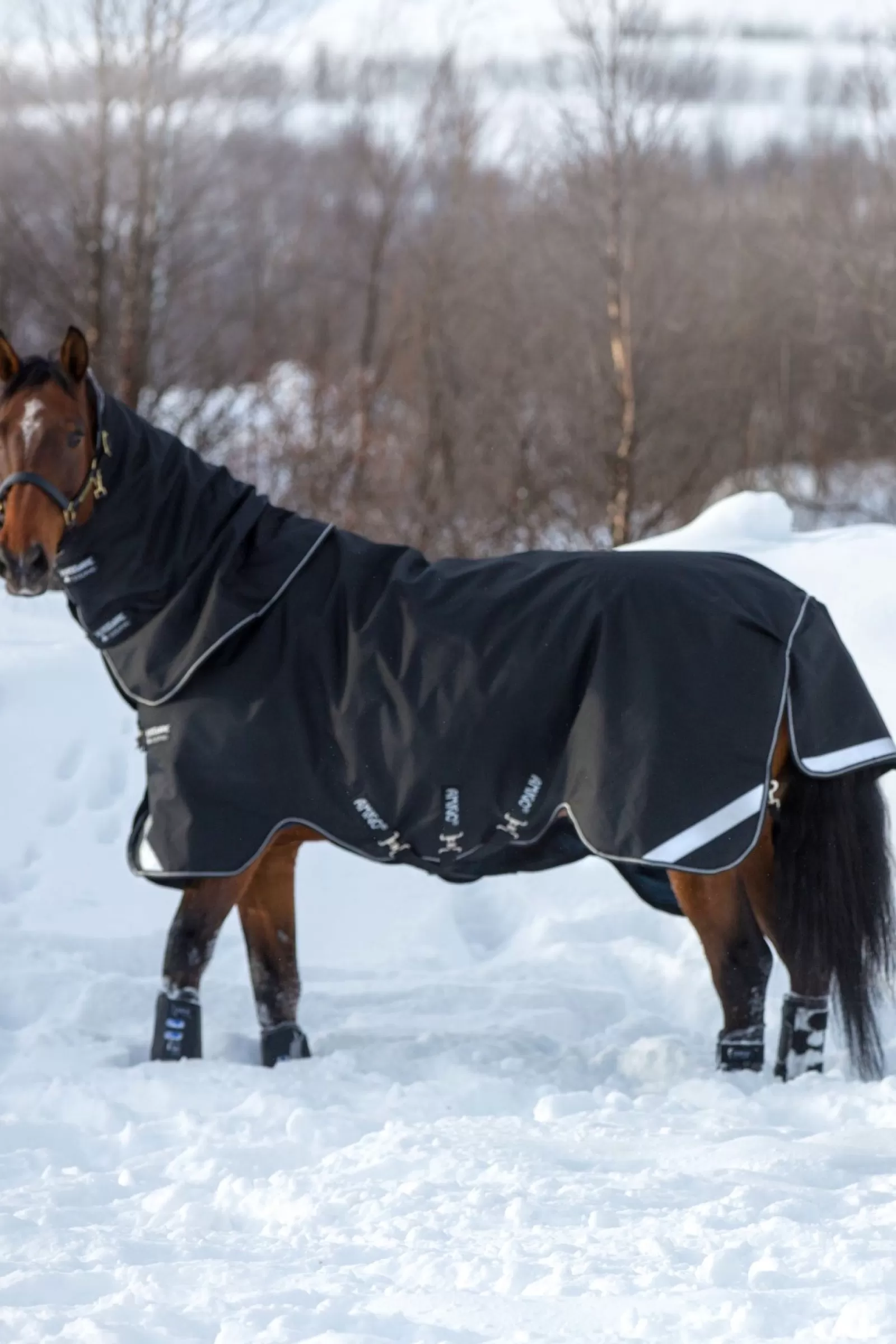 horseware Derka Padokowa Amigo Super Bravo Plus Z Odpinanym Kapturem, 250 G