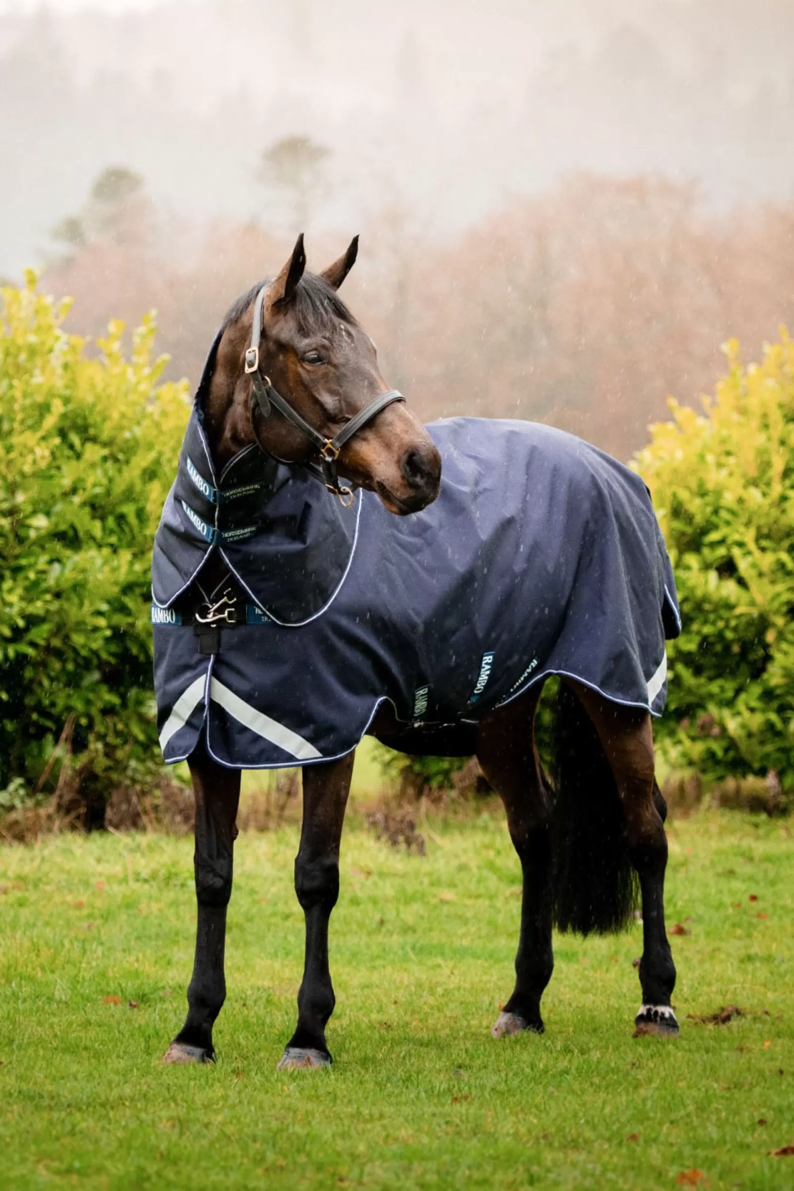 horseware Derka Padokowa Rambo Duo Force Z Odpinanym Kapturem, 0 G