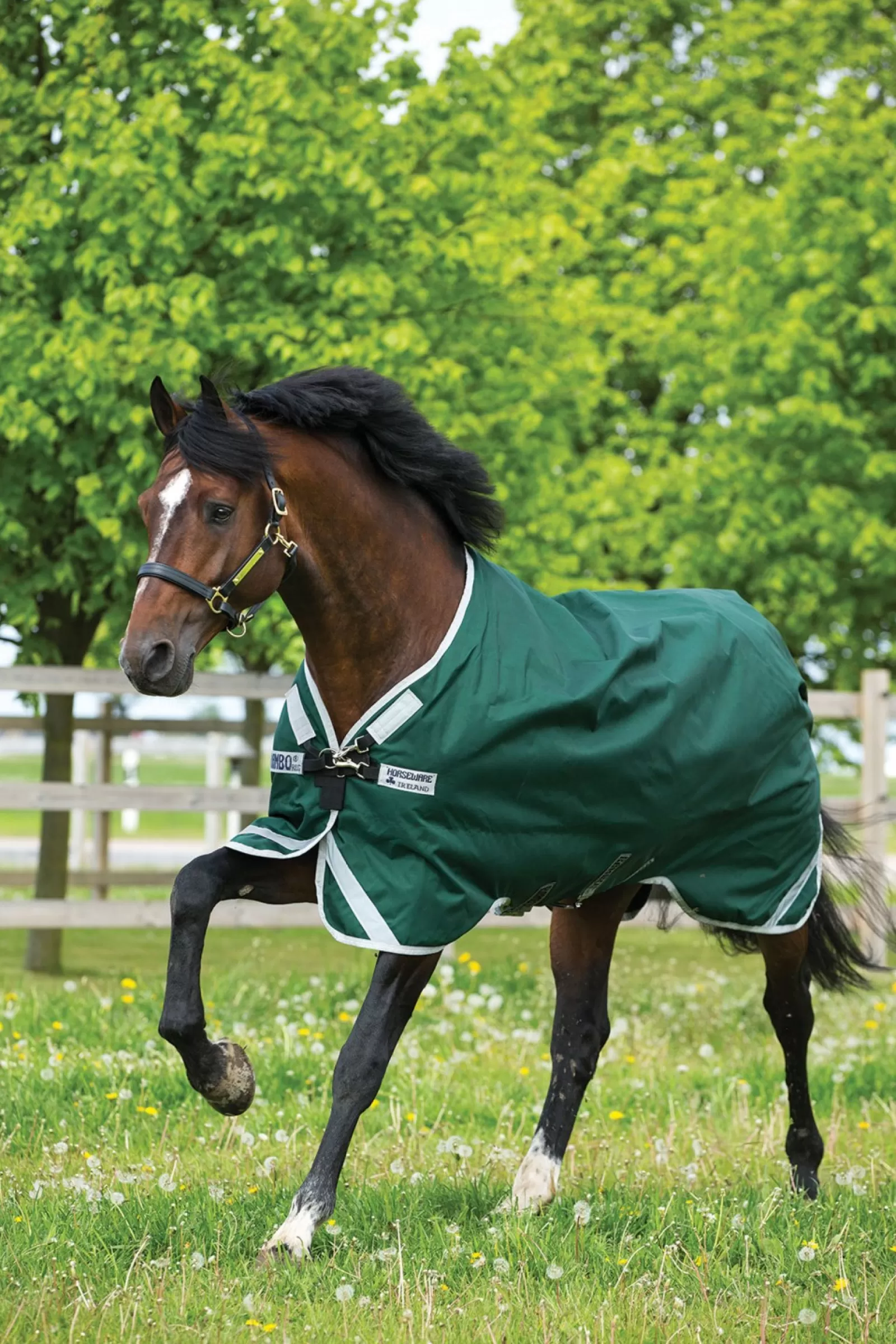 horseware Derka Padokowa Rambo Original Z Wycieciami Na Nogi, 0 G