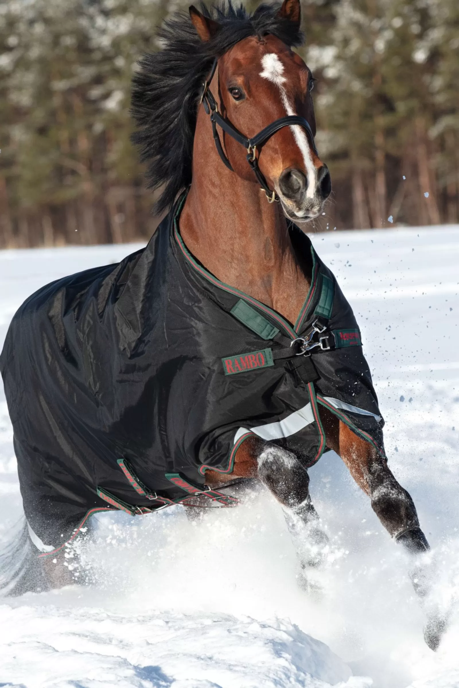 horseware Derka Padokowa Rambo Original Z Wycieciami Na Nogi, 200 G