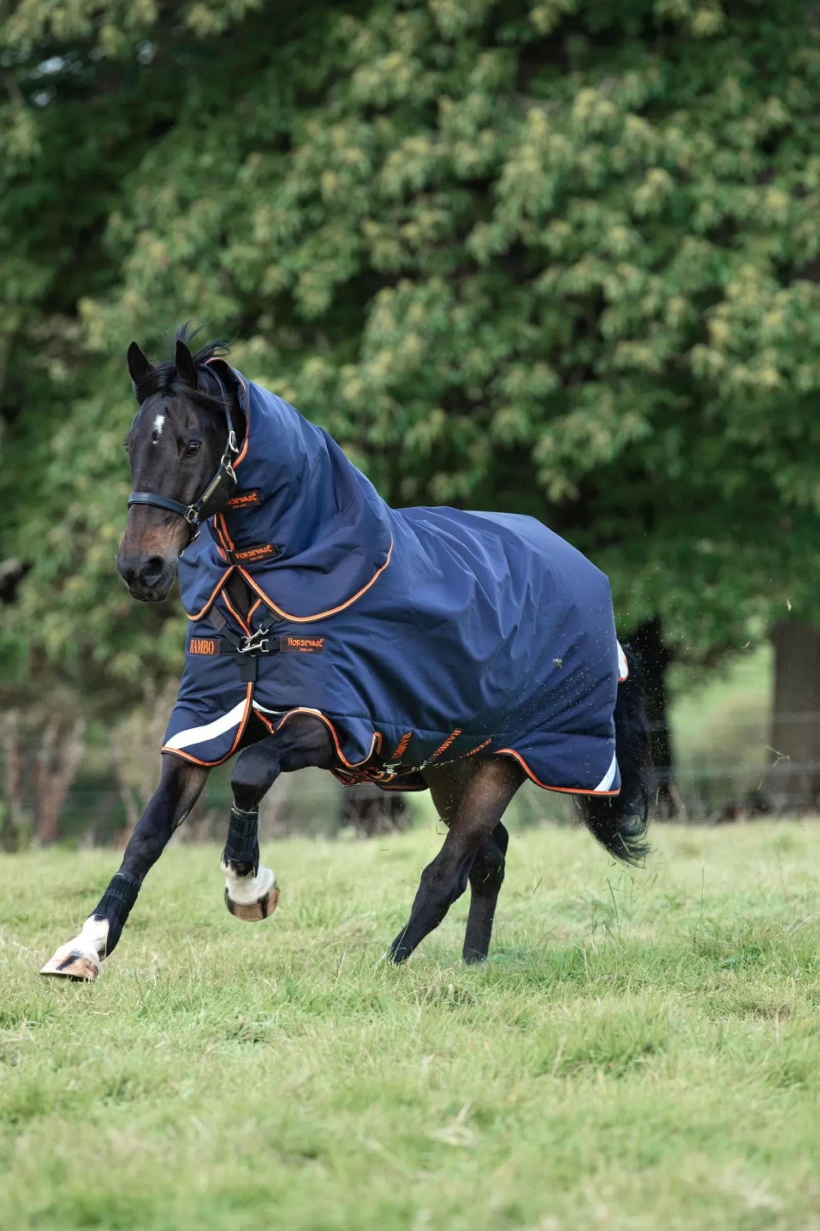 horseware Derka Padokowa Rambo Supreme Lite Z Odpinanym Kapturem, 50 G
