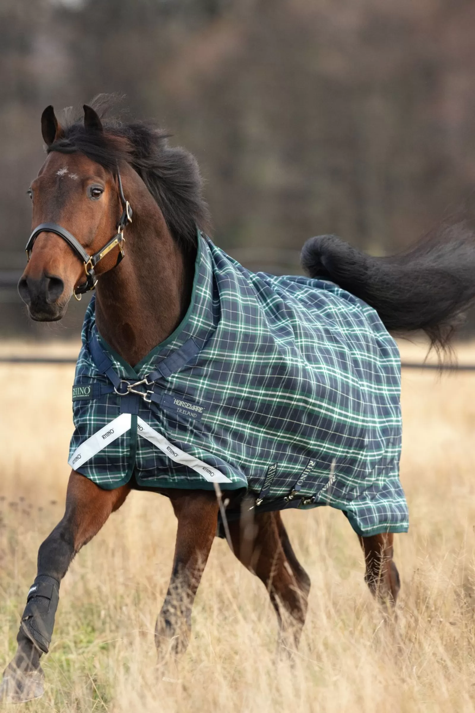 horseware Derka Padokowa Rhino Wug Z Wysokim Kolnierzem, 100G