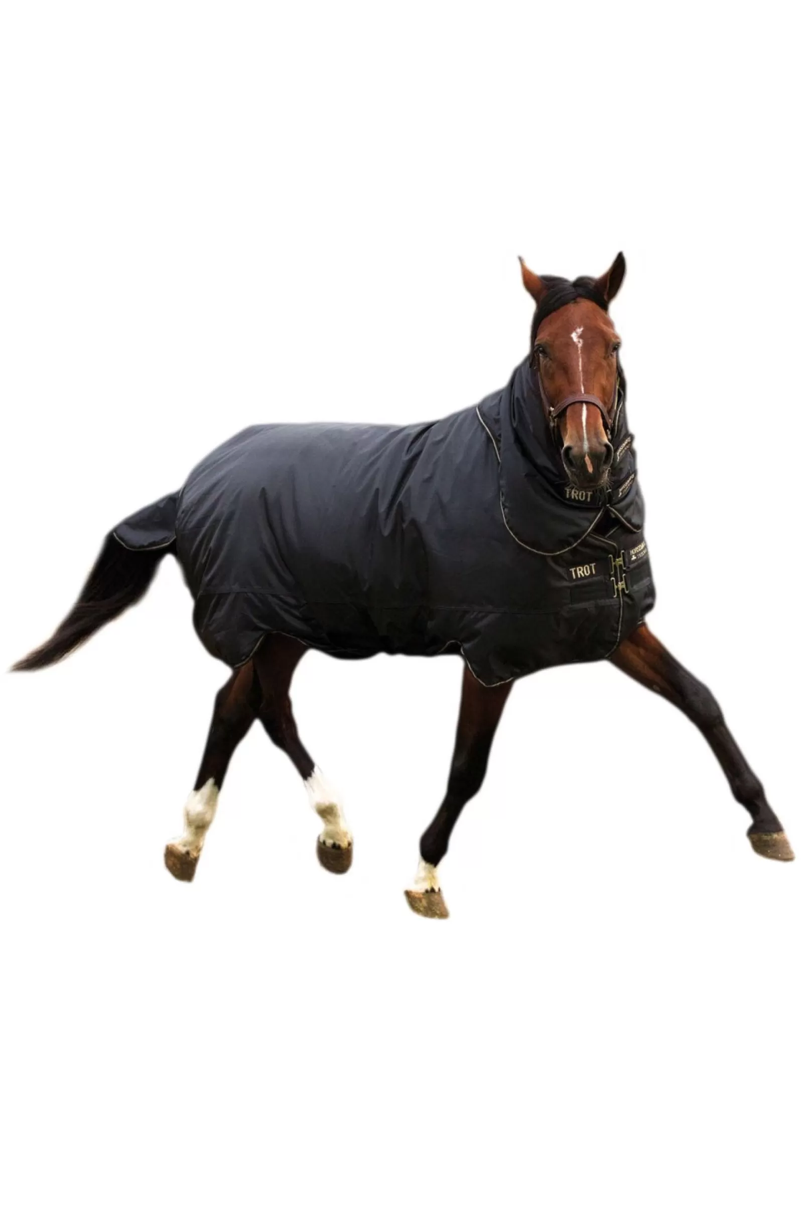 horseware Derka Padokowa Trot Plus Z Odpinanym Kapturem, 350G