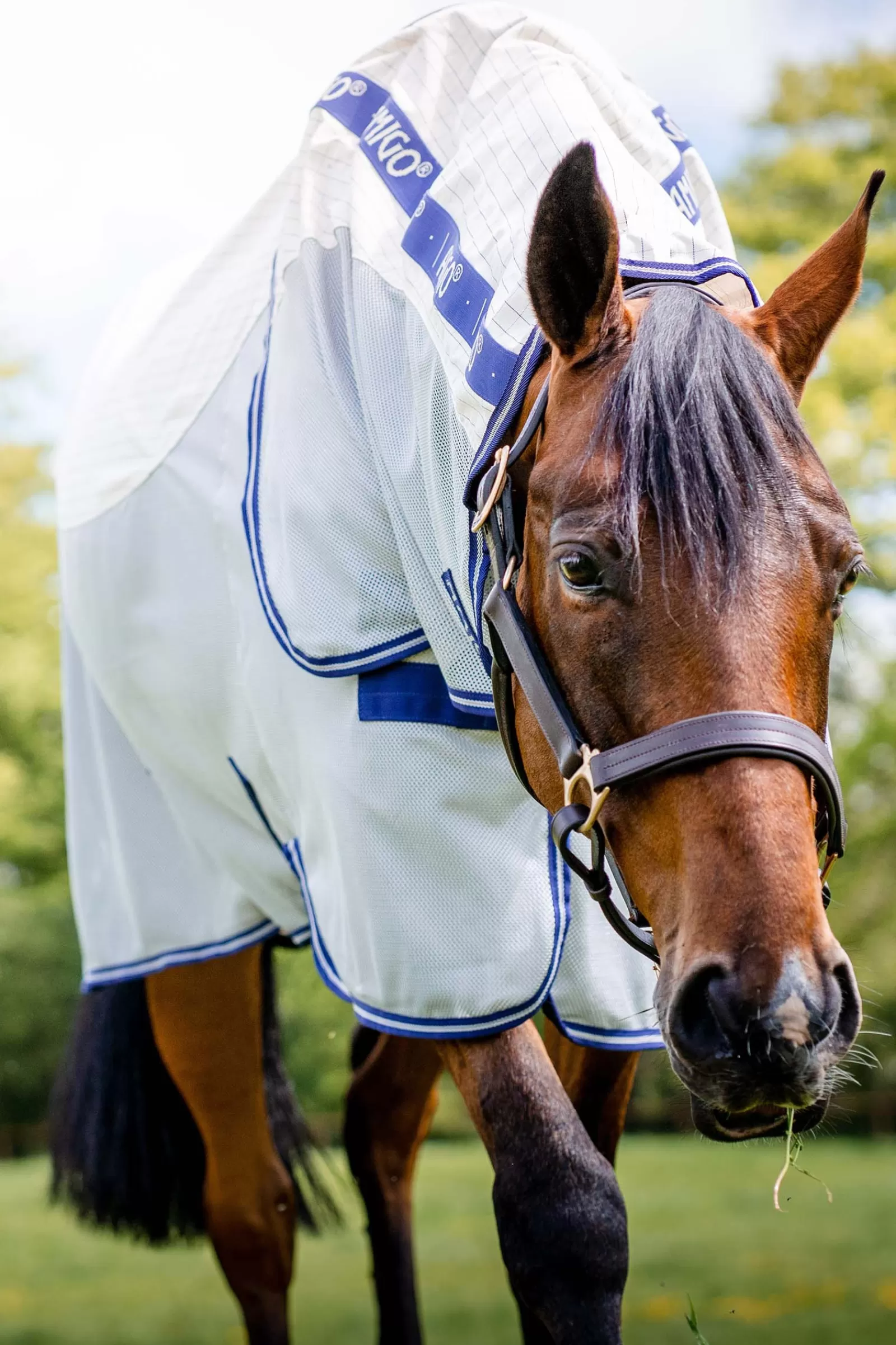 horseware Derka Przeciwko Owadom Amigo Airflow Z Odpinanym Kapturem Navy/Airblue Best