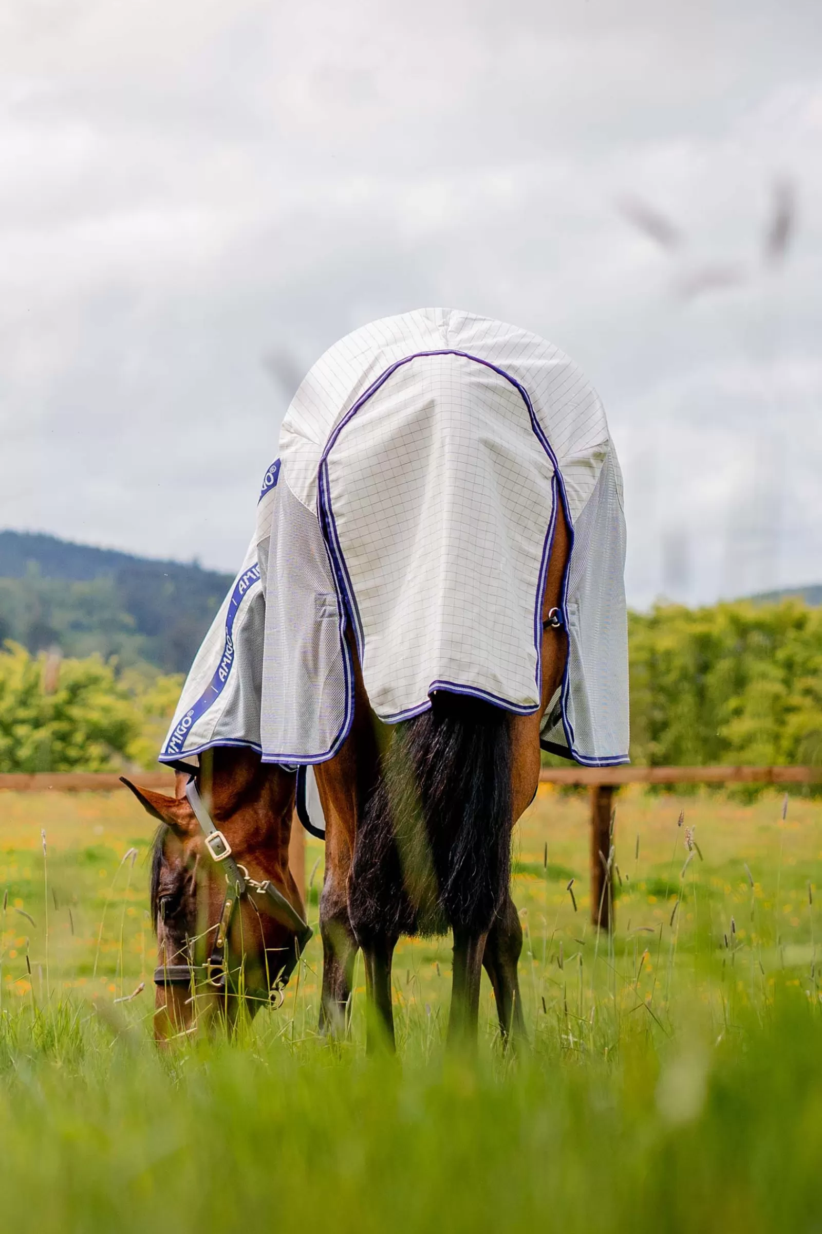 horseware Derka Przeciwko Owadom Amigo Airflow Z Odpinanym Kapturem Navy/Airblue Best