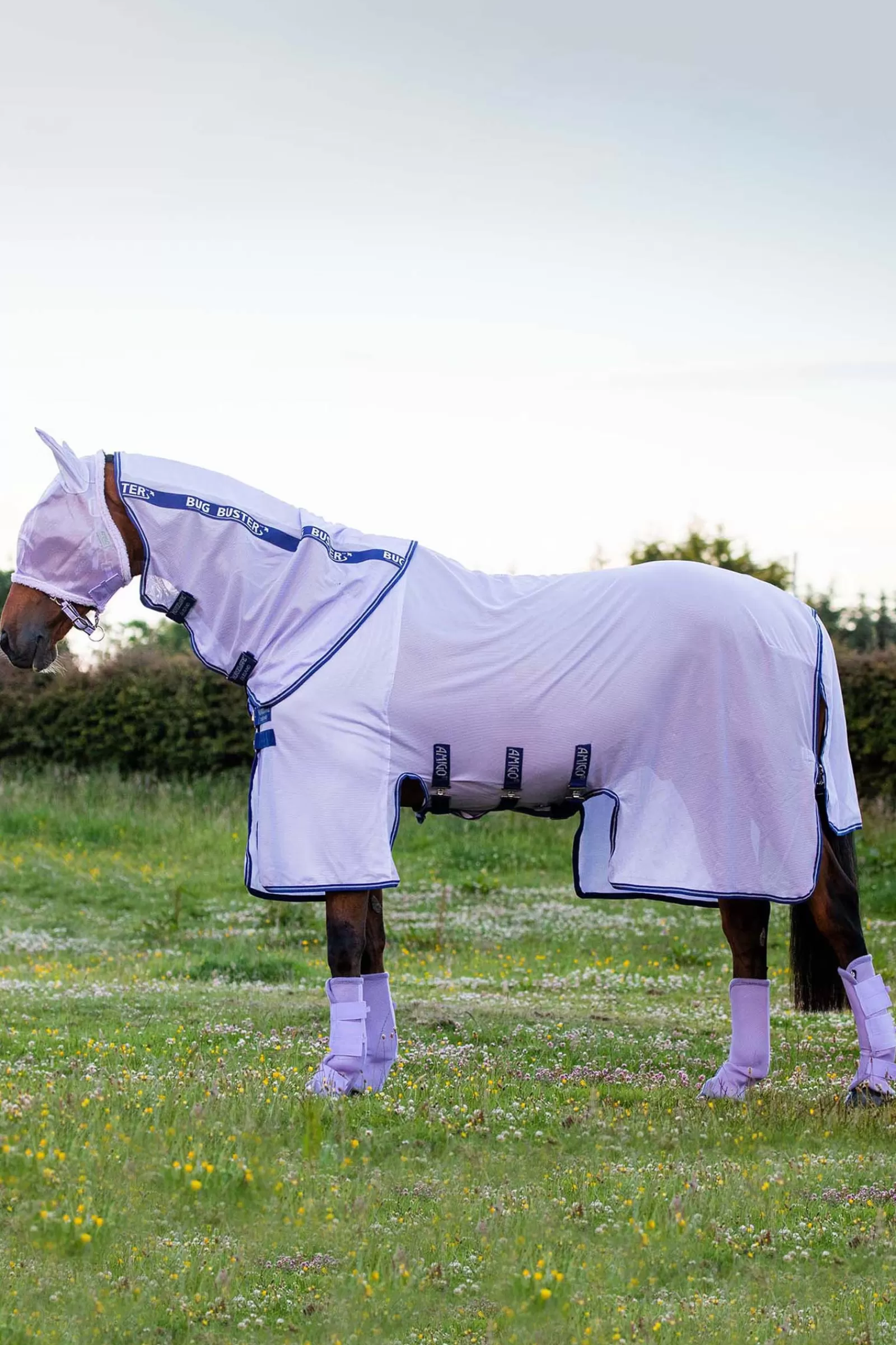 horseware Derka Przeciwko Owadom Amigo Bug Buster Z Odpinanym Kapturem Light Purple/ Blue Outlet