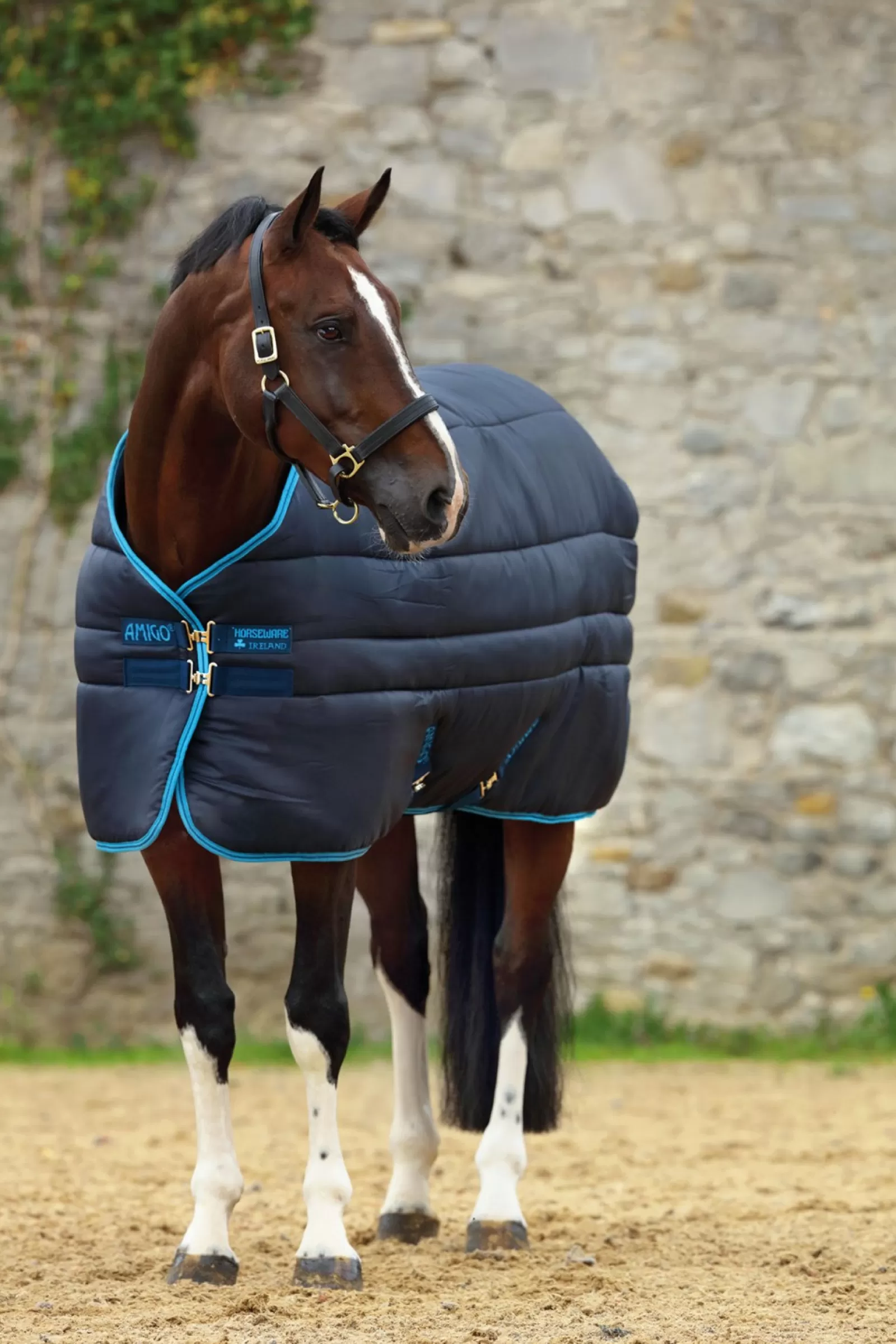 horseware Derka Stajenna Amigo Insulator Z Odpinanym Kapturem, 550G