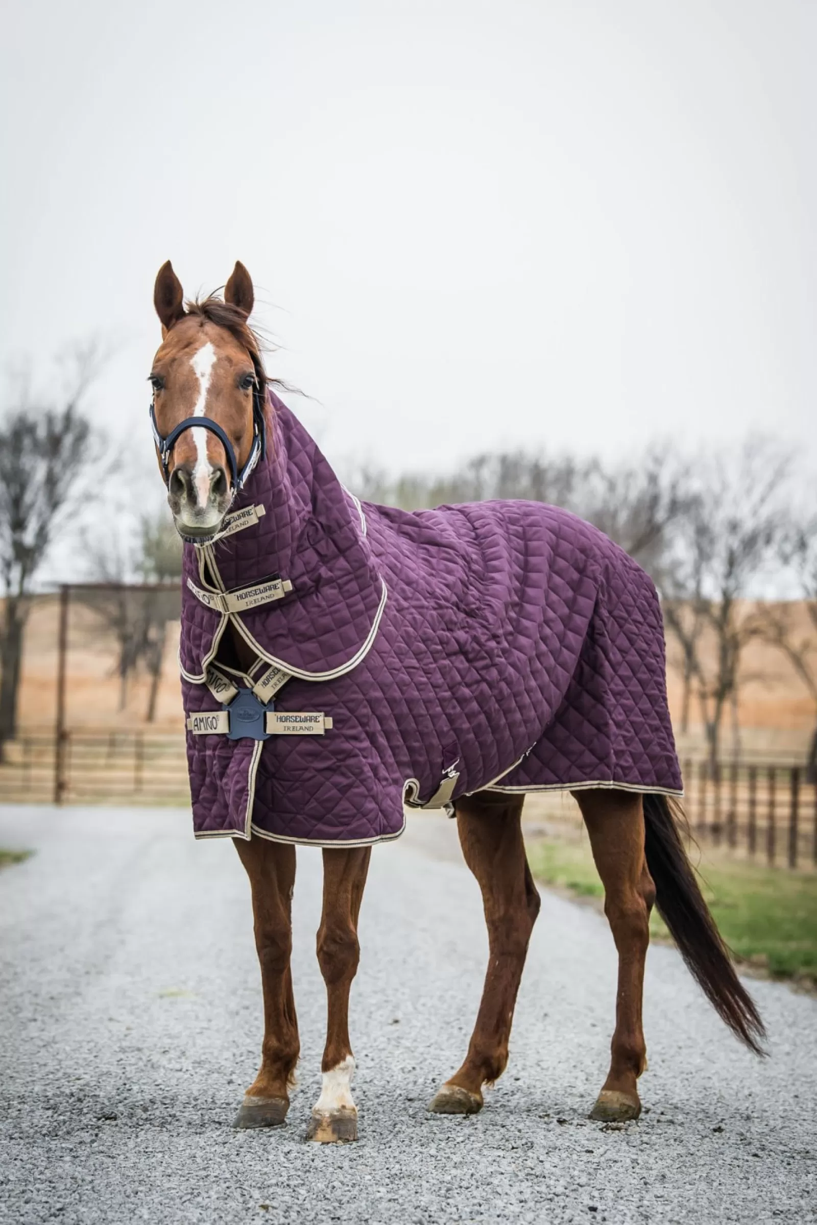 horseware Derka Stajenna Amigo Stable Plus Med Disc Z Odpinanym Kapturem, 200G