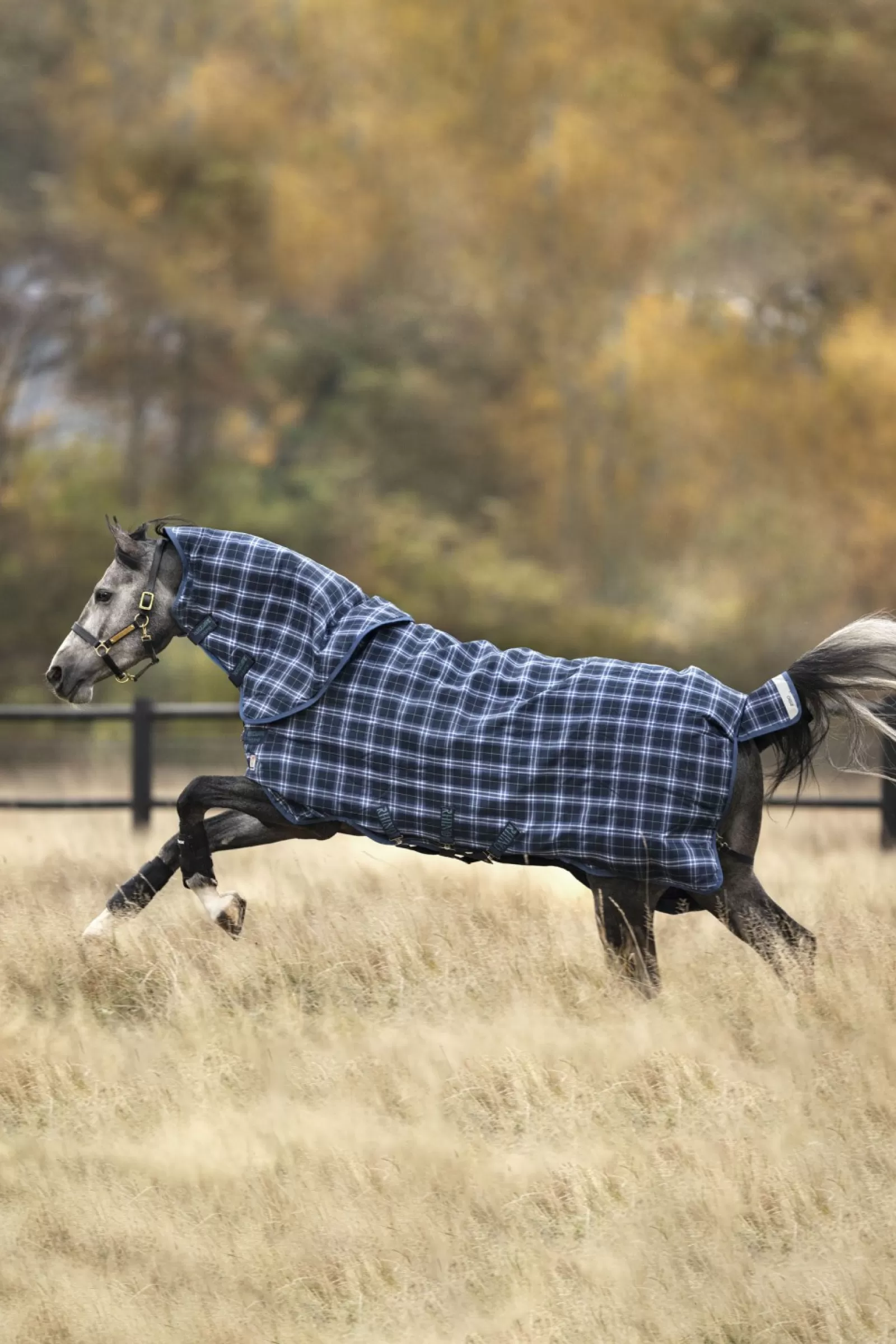 horseware Derka Wielowarstwowa Rhino Plus Z Odpinanym Kolnierzem, 250G