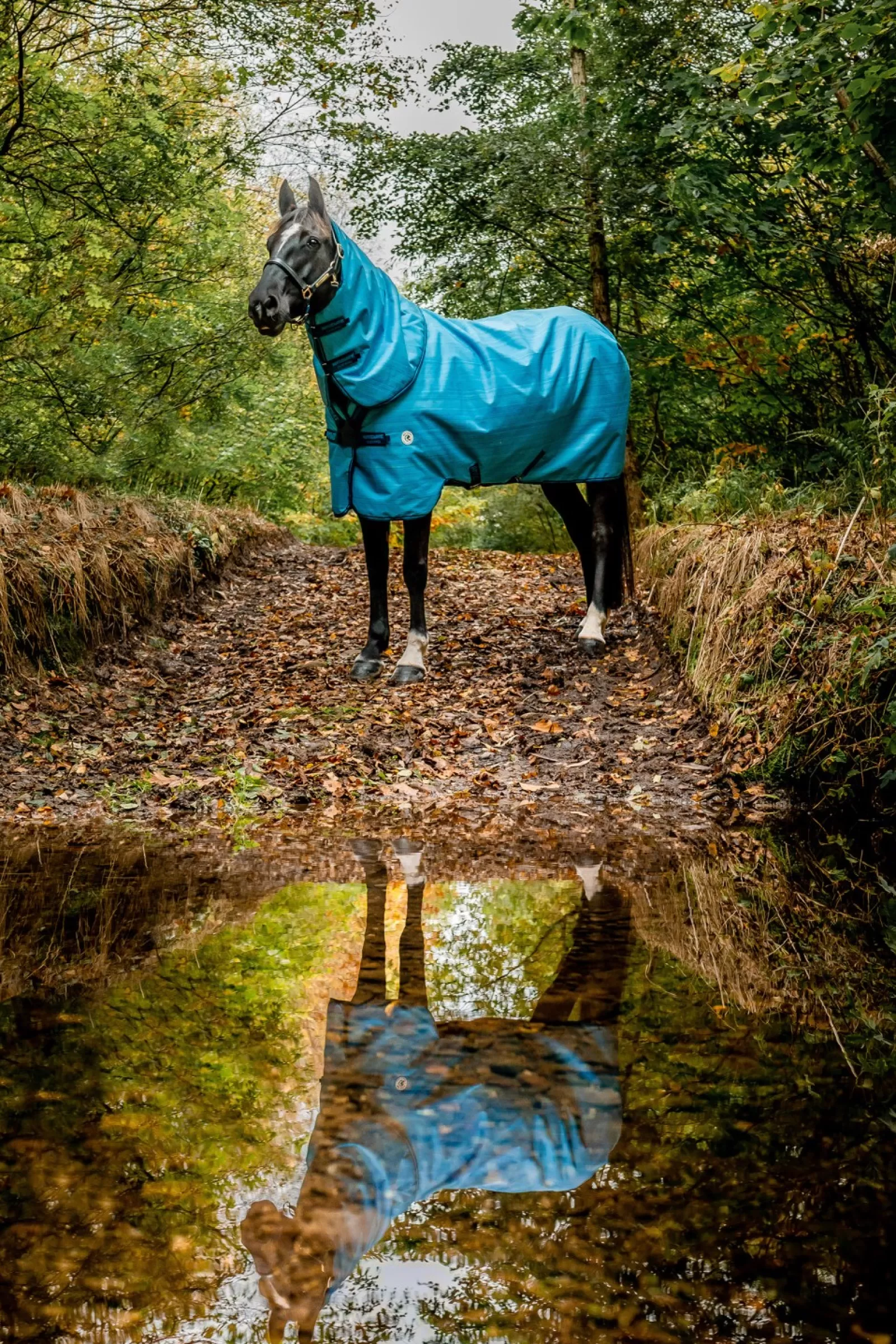 horseware Amigo Hero 900 Revive Plus Derka Padokowa Z Odpinanym Kapturem, 50 G