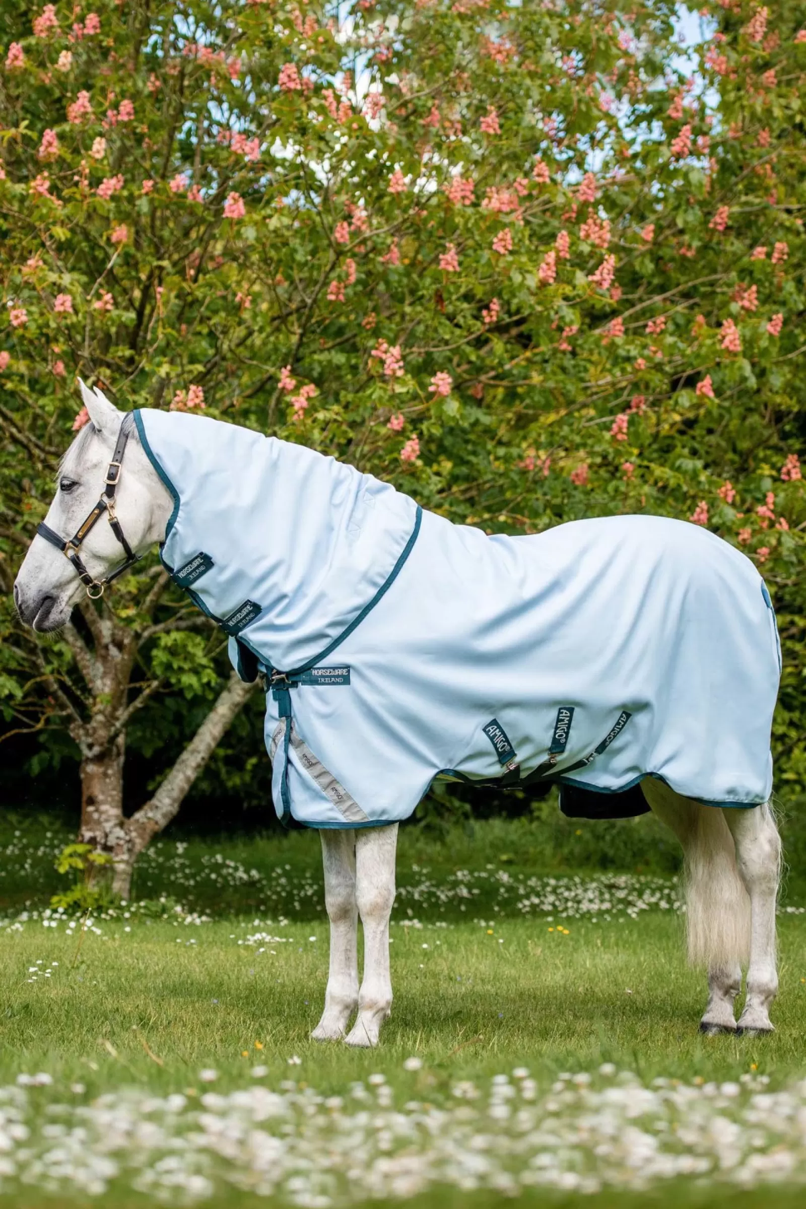 horseware Amigo Plant Dye Derka Padokowa Farbowana Barwnikami Pochodzenia Roslinnego, 50G