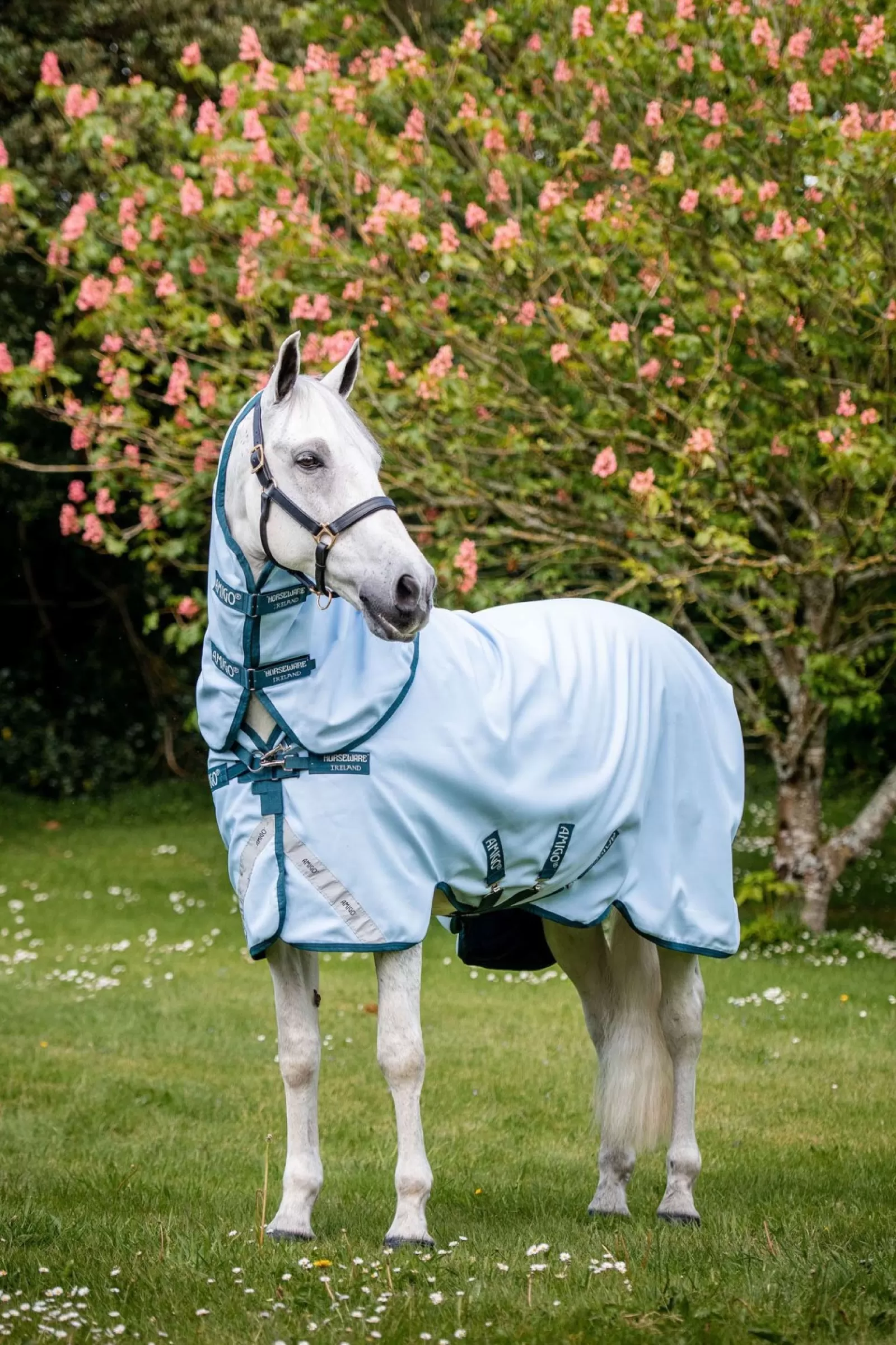 horseware Amigo Plant Dye Derka Padokowa Farbowana Barwnikami Pochodzenia Roslinnego, 50G