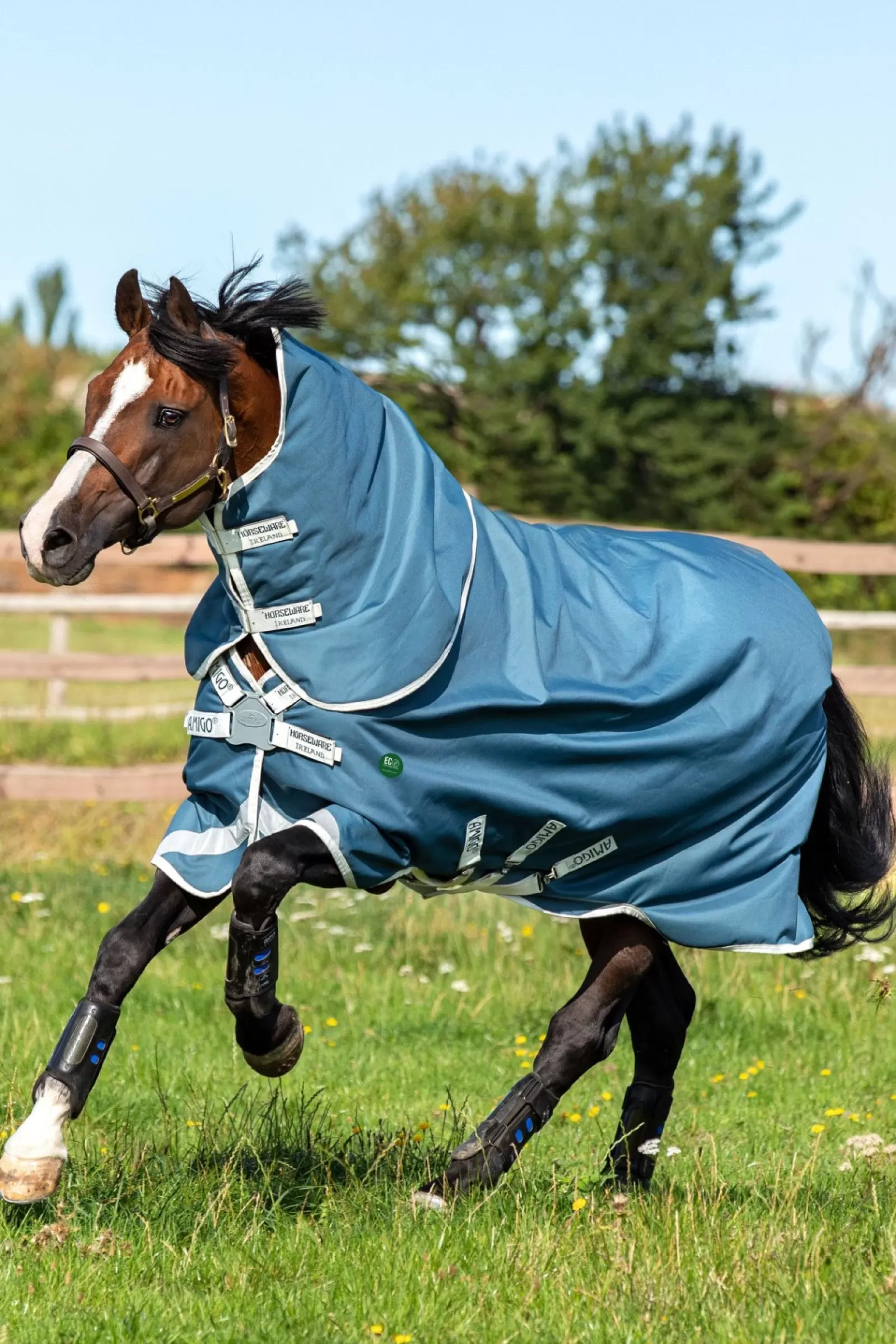 horseware Derka Wybiegowa Ameco Bravo 12 Plus Z. Odpinana Szyja, 100G