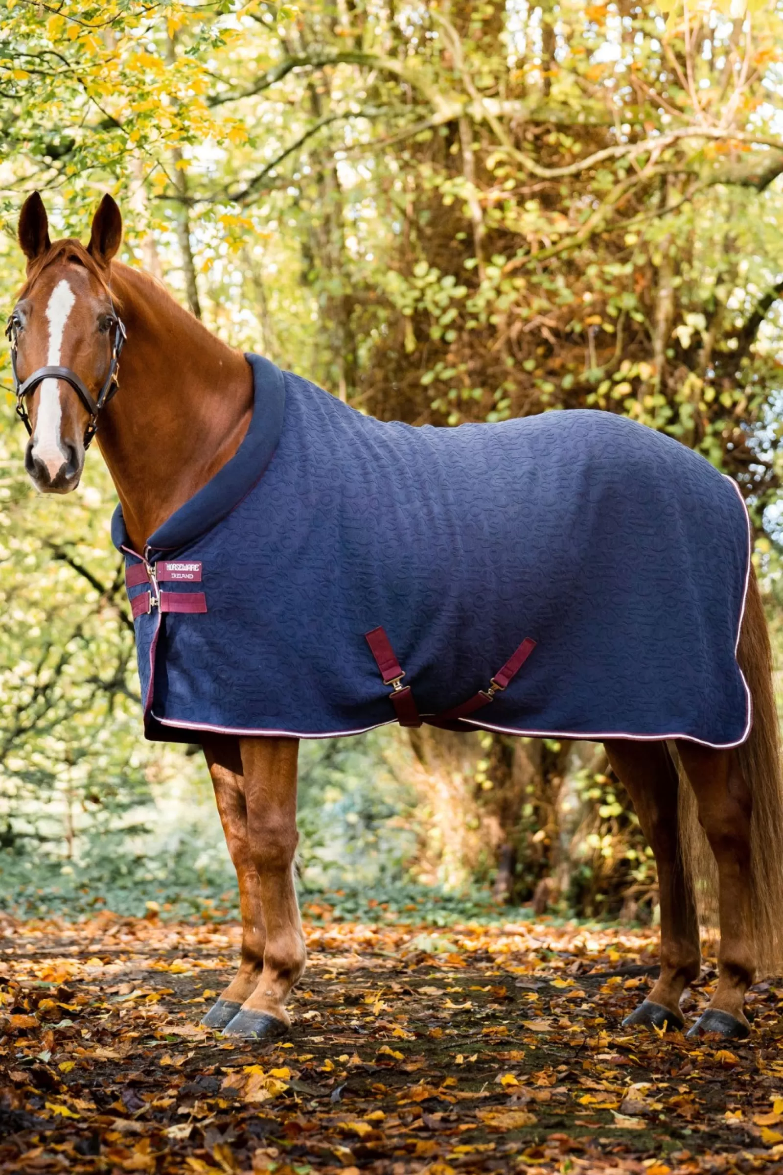 horseware Miekka Derka Osuszajaca Z Kapturem I Wytlaczanym Wzorem
