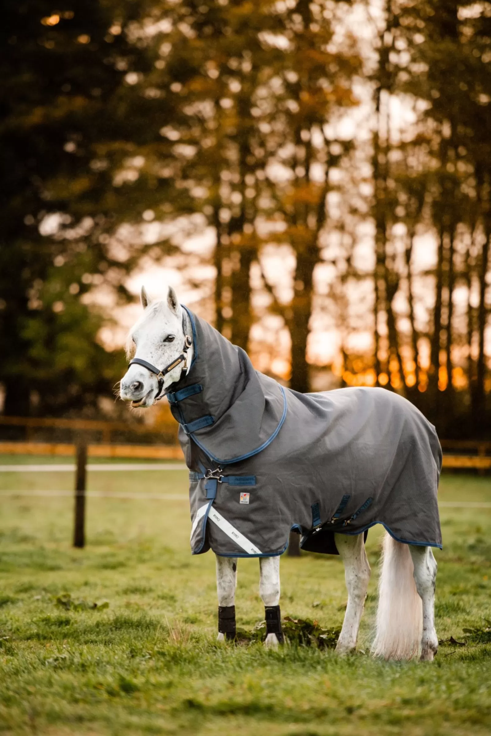 horseware Rhino Hexstop Plus Vari-Layer Derka Padokowa, 250 G
