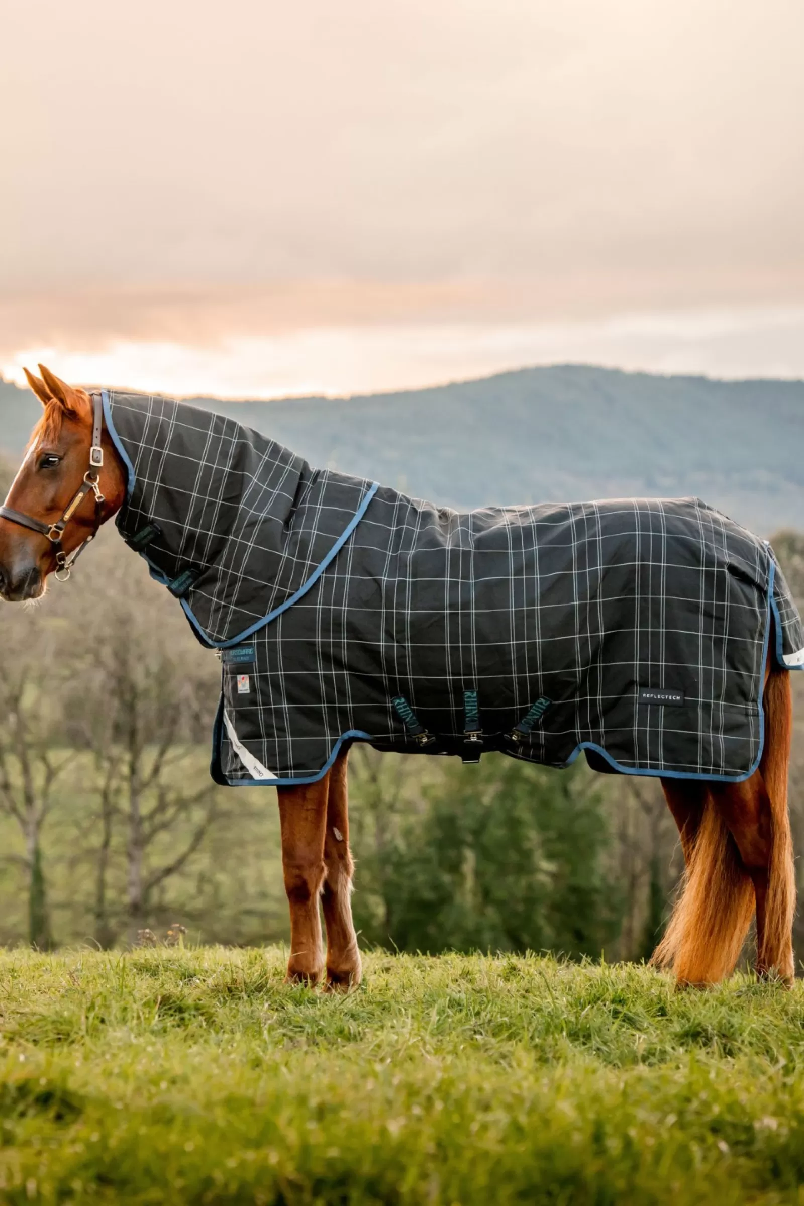 horseware Rhino Reflectech Plus Vari-Layer Derka Padokowa Z Odpinanym Kapturem, 250 G
