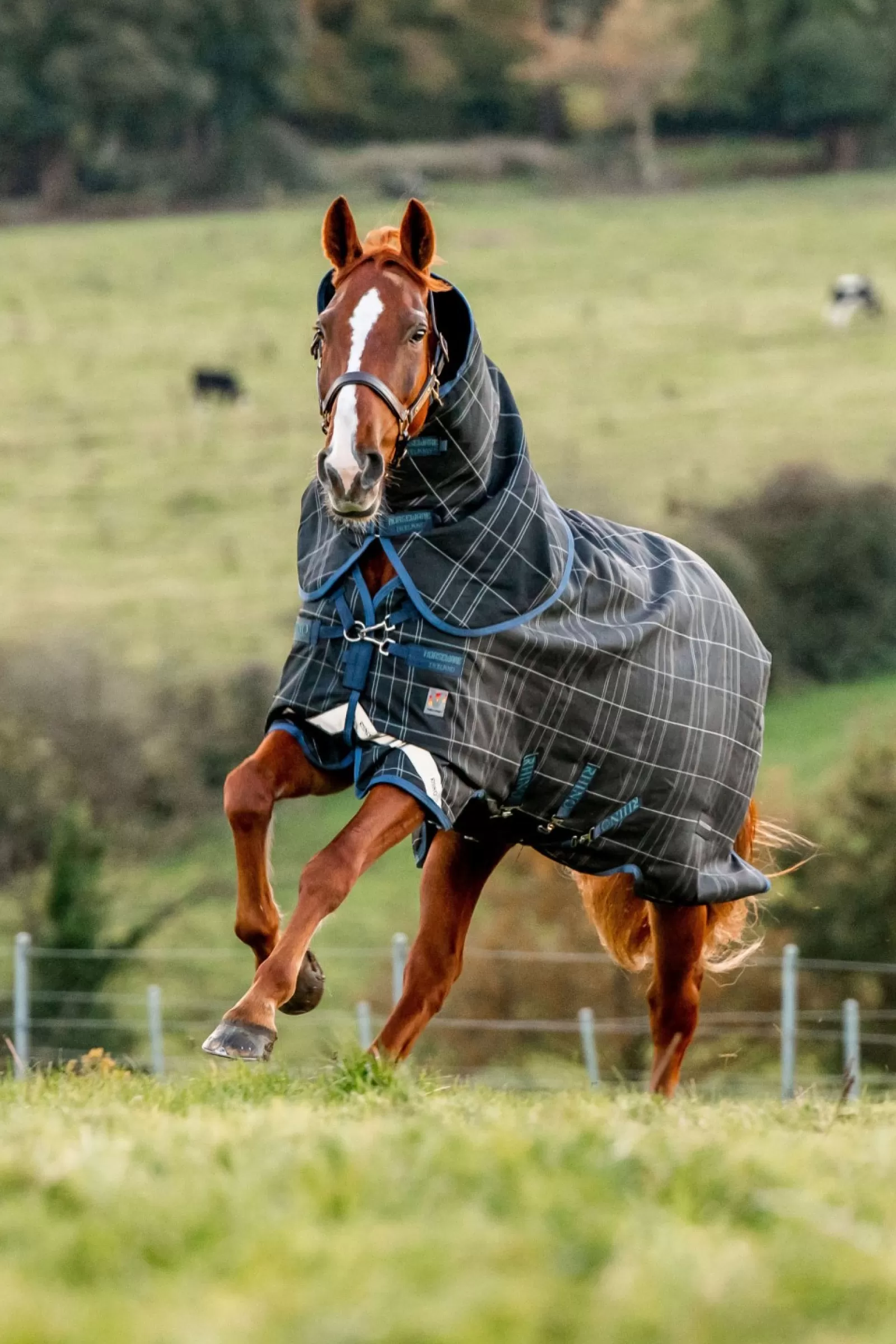 horseware Rhino Reflectech Plus Vari-Layer Derka Padokowa Z Odpinanym Kapturem, 250 G