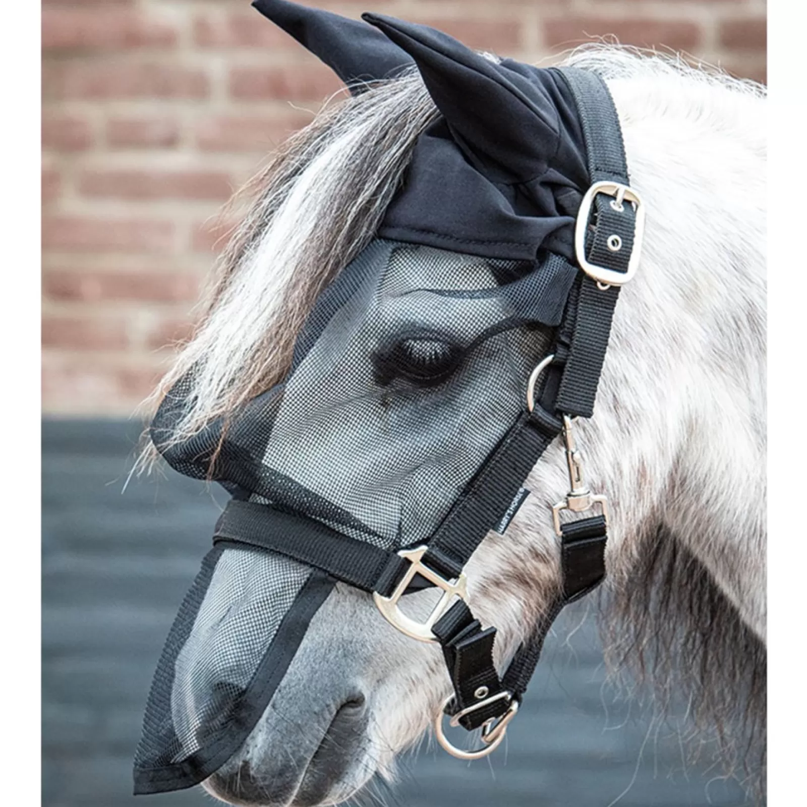 harryshorse Kantar Z Maska Przeciw Owadom Harry'S Horse Z Ochrona Uszu