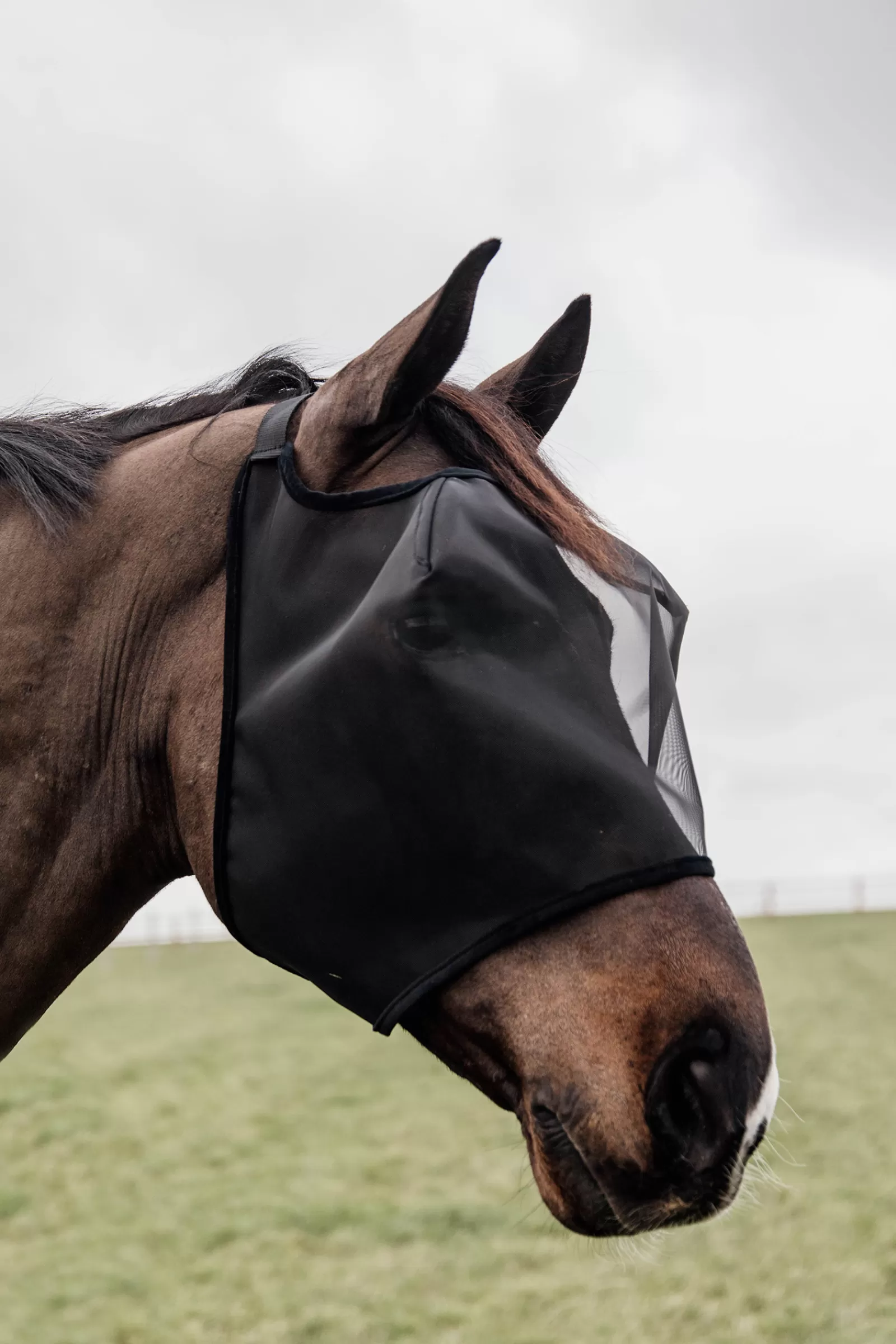 kentucky Horsewear Classic Maska Przeciwko Owadom Bez Czesci Nausznej Black Discount