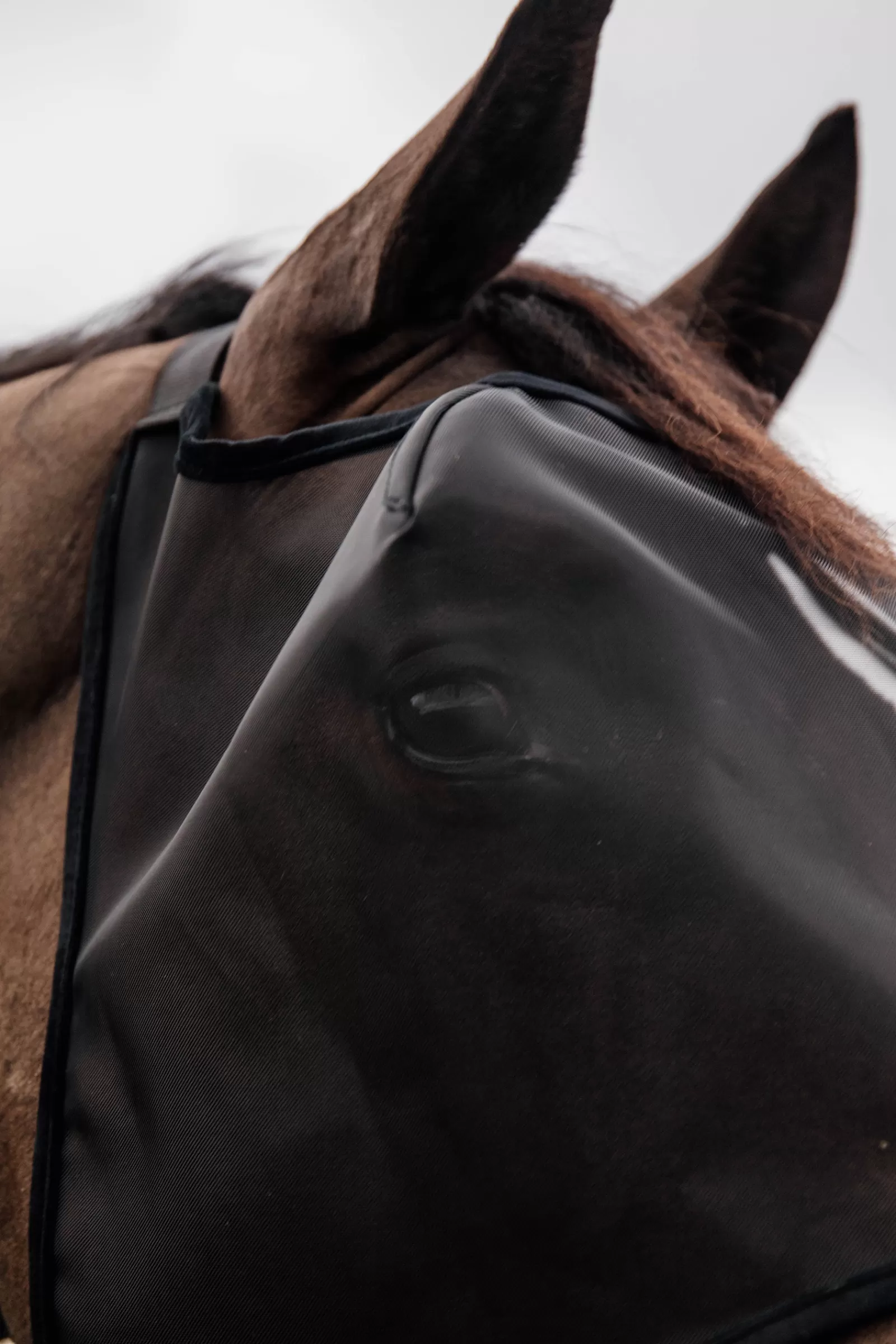 kentucky Horsewear Classic Maska Przeciwko Owadom Bez Czesci Nausznej Black Discount
