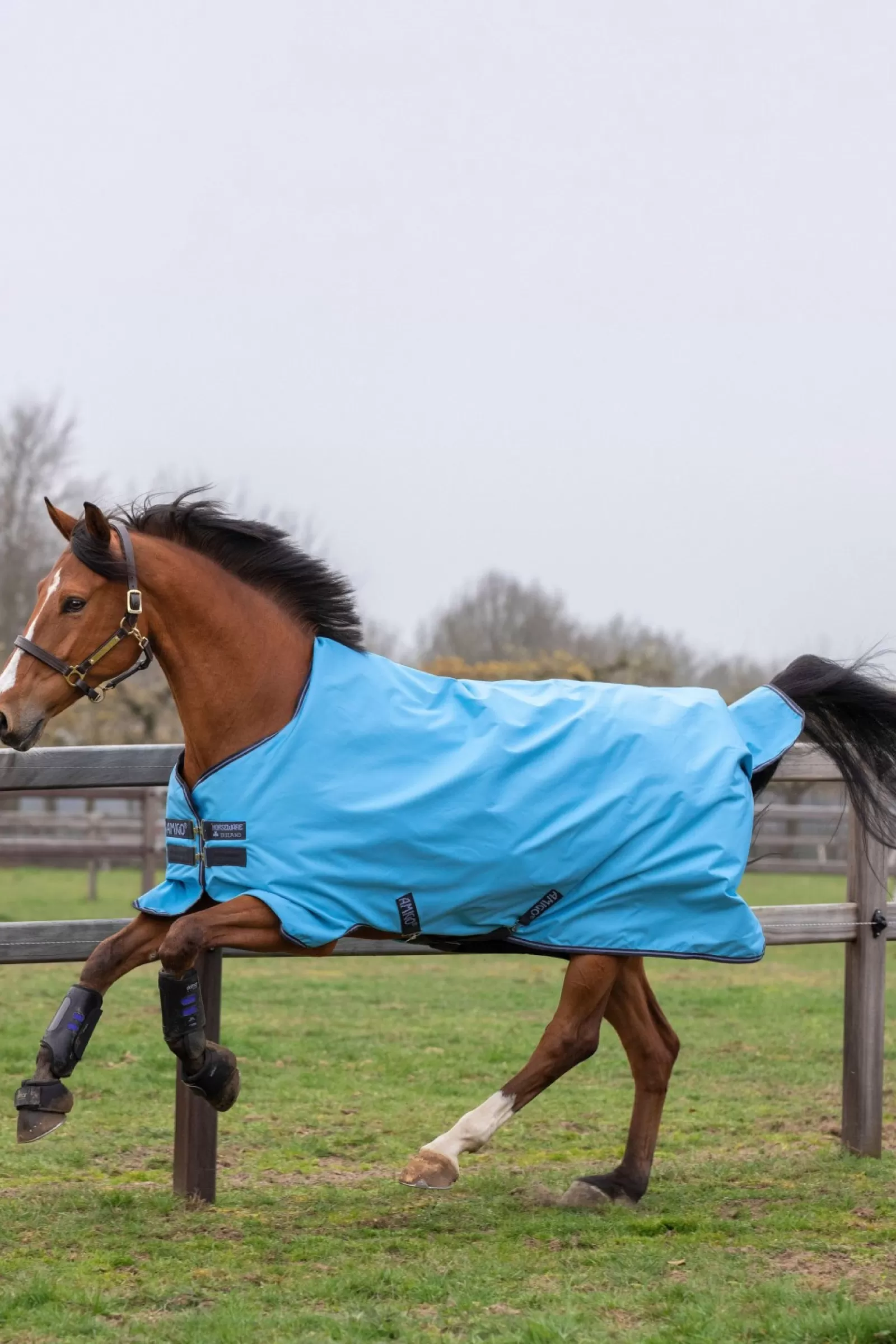 horseware Lekka Derka Padokowa Amigo Hero 900 T/O Lite, 0G