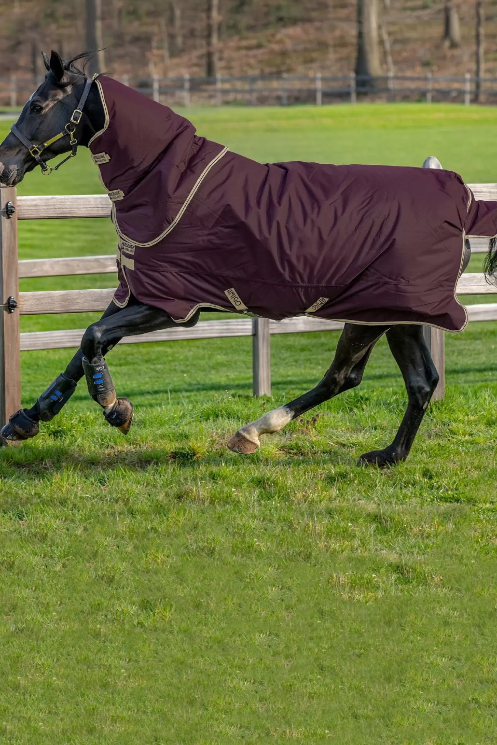 horseware Lekka Derka Padokowa Amigo Hero Ripstop Plus Z Odpinanym Kapturem, 0G