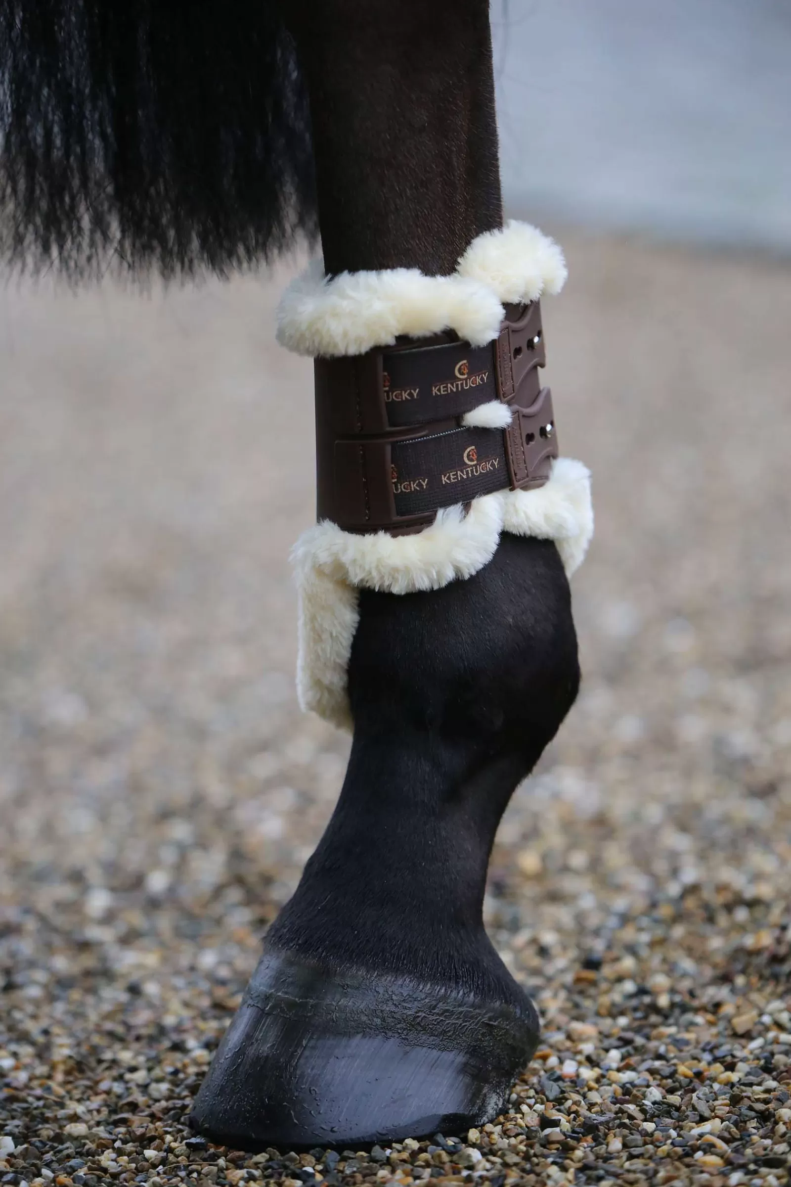 kentucky Ochraniacze Tylne Z Futrem Owczym Horsewear Sheepskin Fetlock Brown Cheap