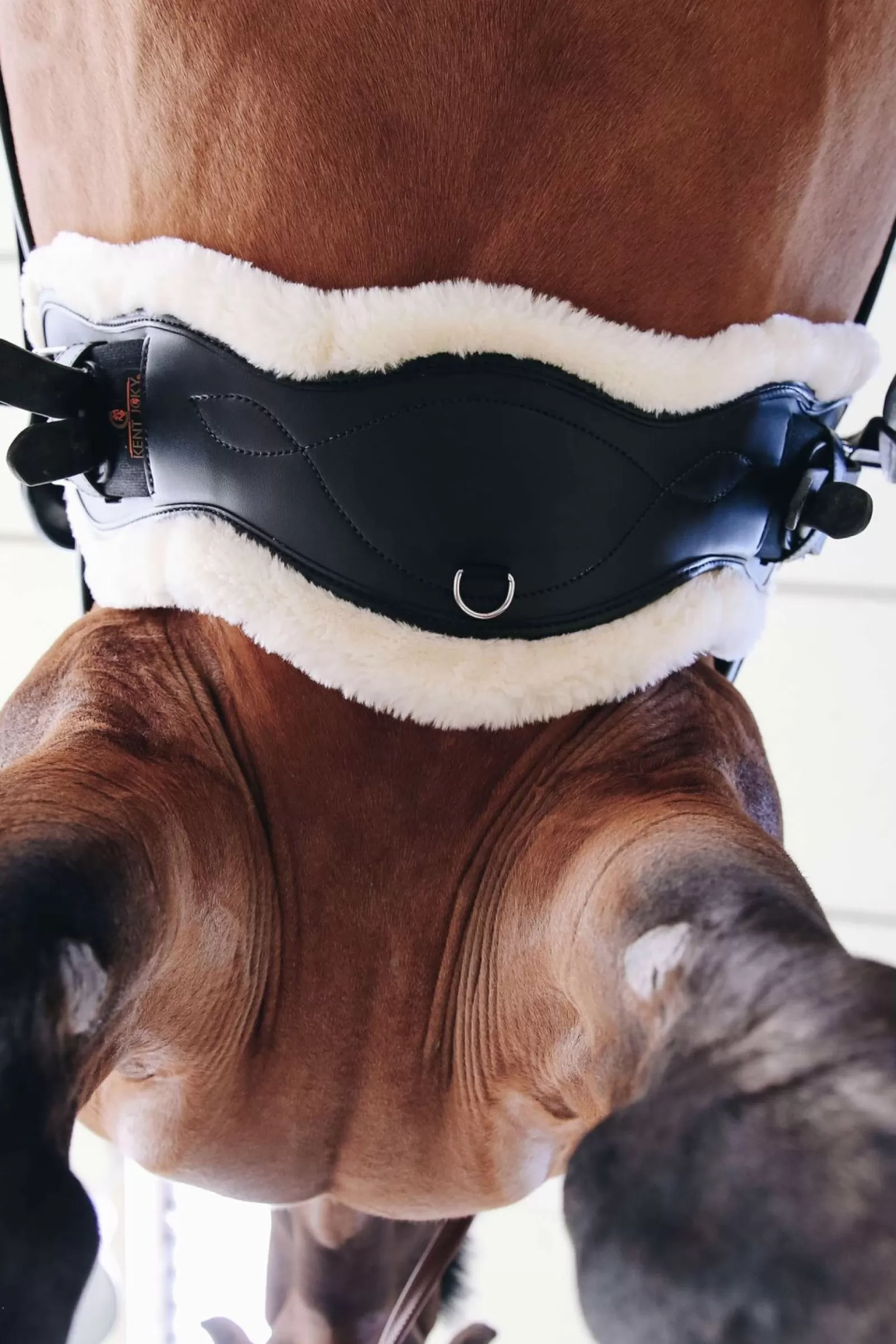 kentucky Popreg Anatomiczny, Krotki, Podszyty Welna Owcza Horsewear Sheepskin