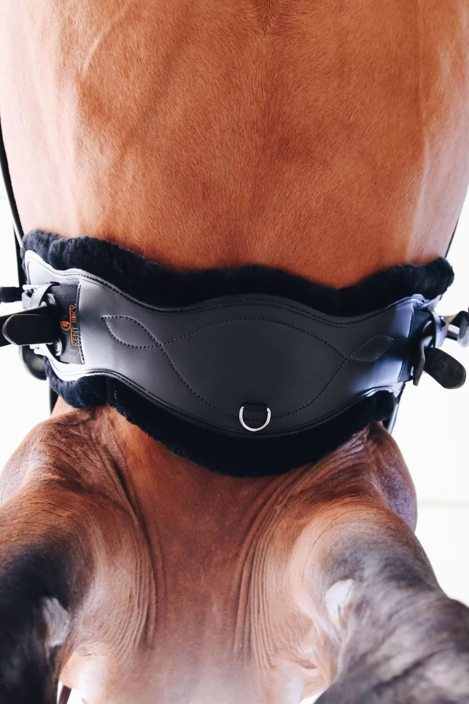 kentucky Popreg Anatomiczny, Krotki, Podszyty Welna Owcza Horsewear Sheepskin