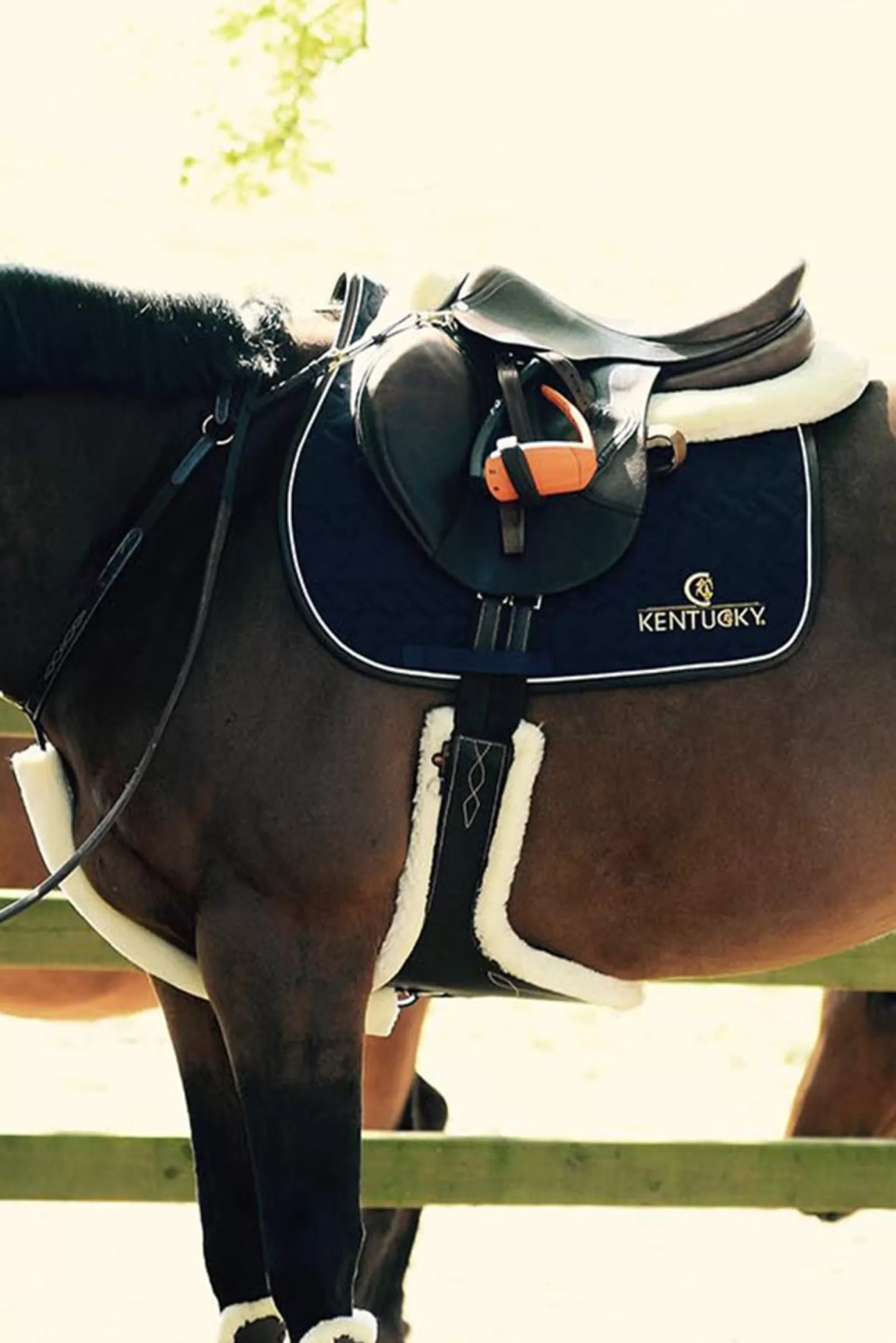 kentucky Popreg Z Fartuchem Podszyty Welna Owcza Horsewear Sheepskin