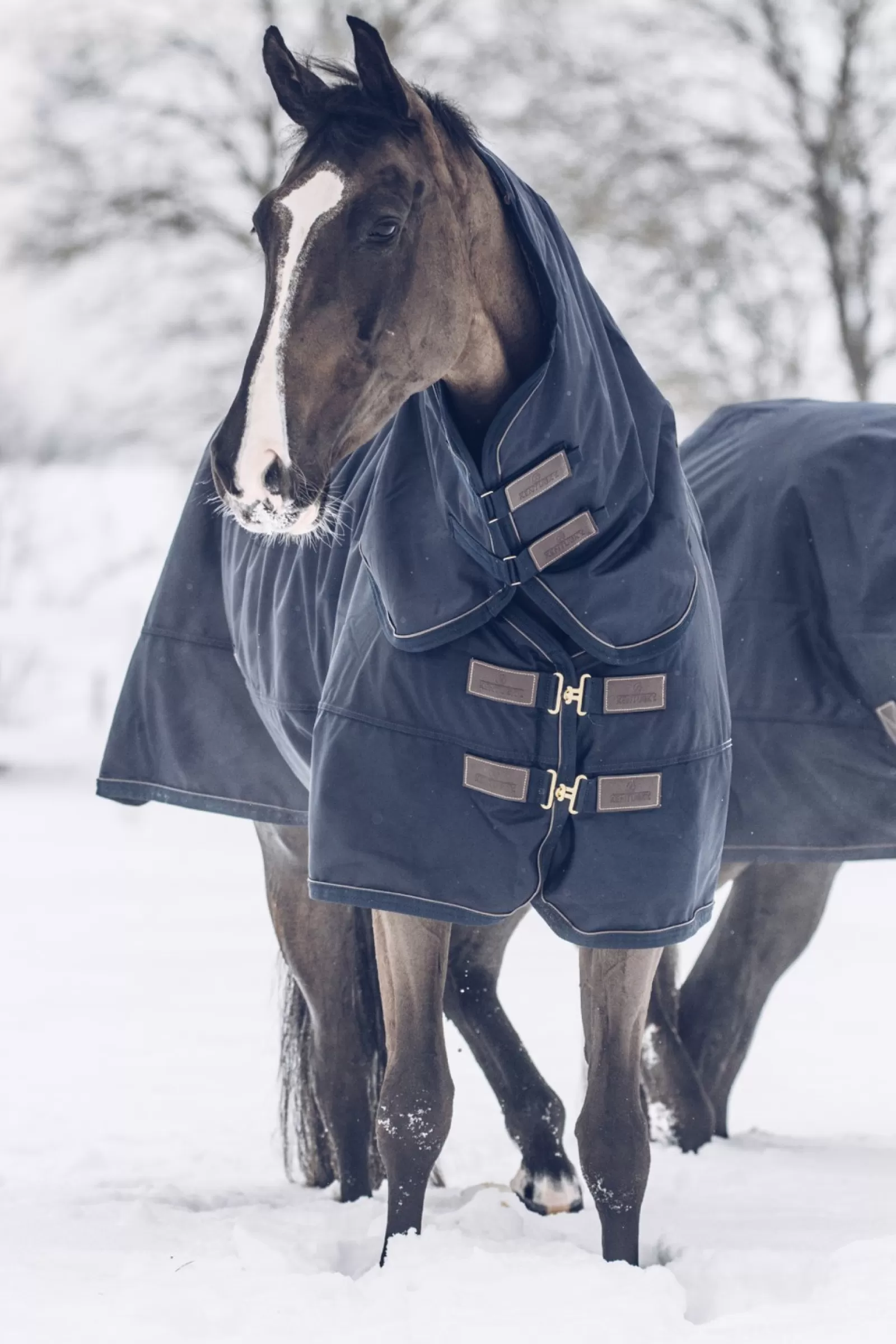 kentucky Przeciwdeszczowa Derka Padokowa Horsewear All Weather Classic, 300G