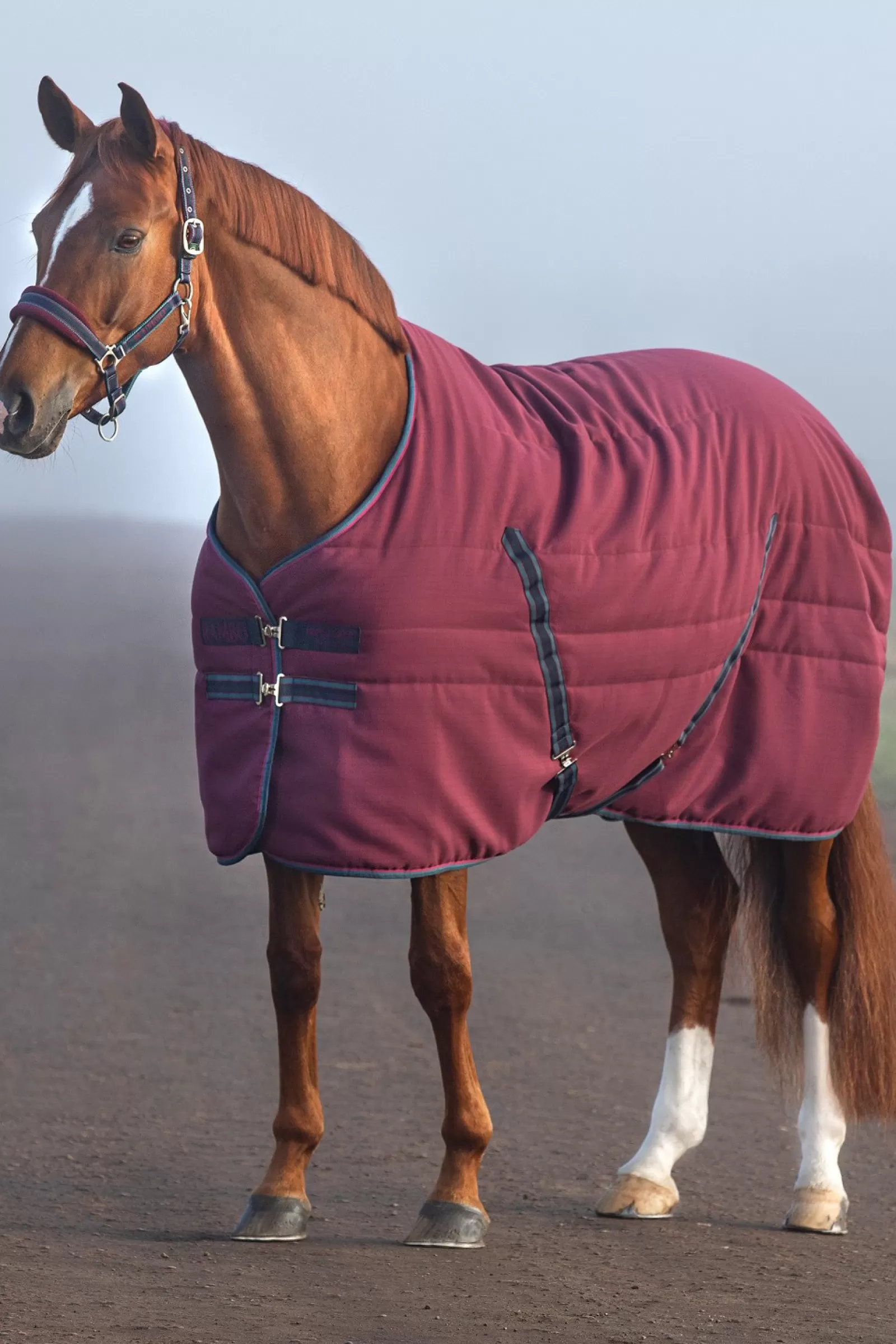 horseware Rambo Coperta Da Scuderia Con Fodera Goffrata, 100 Gr