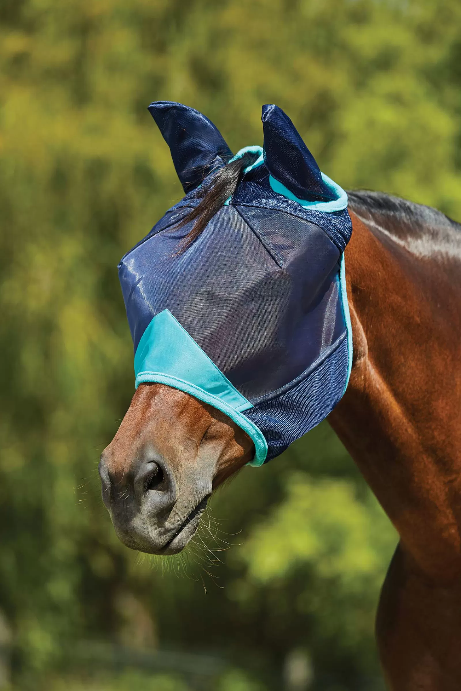 weatherbeeta Comfitec Deluxe Maska Z Delikatnej Siateczki Z Oslona Uszu Navy/ Turquoise Sale